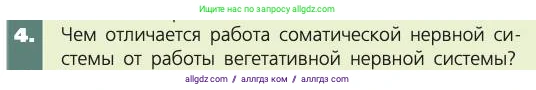 Биология, 8 класс Учебник, авторы: Пасечник Владимир Васильевич, Каменский Андрей Александрович, Швецов Глеб Геннадьевич, издательство Просвещение, Москва, 2019, страница 179, номер 4, Условие
