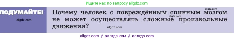Биология, 8 класс Учебник, авторы: Пасечник Владимир Васильевич, Каменский Андрей Александрович, Швецов Глеб Геннадьевич, издательство Просвещение, Москва, 2019, страница 181, Условие