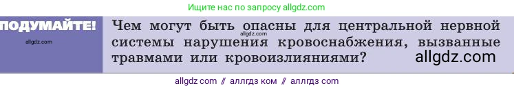 Биология, 8 класс Учебник, авторы: Пасечник Владимир Васильевич, Каменский Андрей Александрович, Швецов Глеб Геннадьевич, издательство Просвещение, Москва, 2019, страница 191, Условие