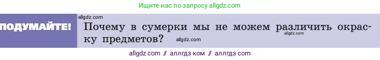 Биология, 8 класс Учебник, авторы: Пасечник Владимир Васильевич, Каменский Андрей Александрович, Швецов Глеб Геннадьевич, издательство Просвещение, Москва, 2019, страница 197, Условие