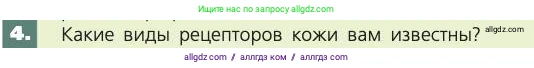 Биология, 8 класс Учебник, авторы: Пасечник Владимир Васильевич, Каменский Андрей Александрович, Швецов Глеб Геннадьевич, издательство Просвещение, Москва, 2019, страница 201, номер 4, Условие