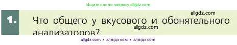 Биология, 8 класс Учебник, авторы: Пасечник Владимир Васильевич, Каменский Андрей Александрович, Швецов Глеб Геннадьевич, издательство Просвещение, Москва, 2019, страница 203, номер 1, Условие