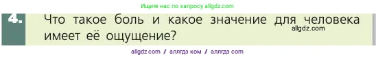 Биология, 8 класс Учебник, авторы: Пасечник Владимир Васильевич, Каменский Андрей Александрович, Швецов Глеб Геннадьевич, издательство Просвещение, Москва, 2019, страница 203, номер 4, Условие