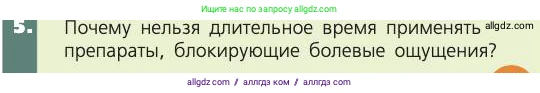 Биология, 8 класс Учебник, авторы: Пасечник Владимир Васильевич, Каменский Андрей Александрович, Швецов Глеб Геннадьевич, издательство Просвещение, Москва, 2019, страница 203, номер 5, Условие