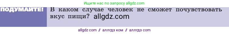 Биология, 8 класс Учебник, авторы: Пасечник Владимир Васильевич, Каменский Андрей Александрович, Швецов Глеб Геннадьевич, издательство Просвещение, Москва, 2019, страница 203, Условие