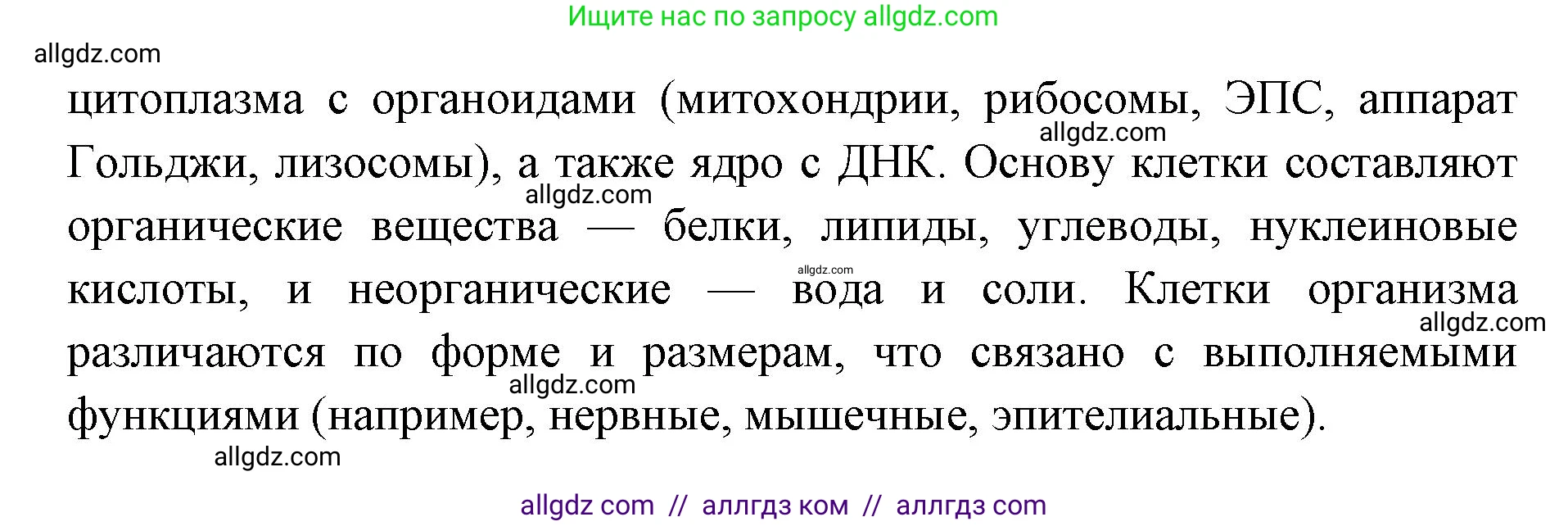 Биология, 8 класс Учебник, авторы: Пасечник Владимир Васильевич, Каменский Андрей Александрович, Швецов Глеб Геннадьевич, издательство Просвещение, Москва, 2019, страница 20, номер 3, Решение 1 (продолжение 2)