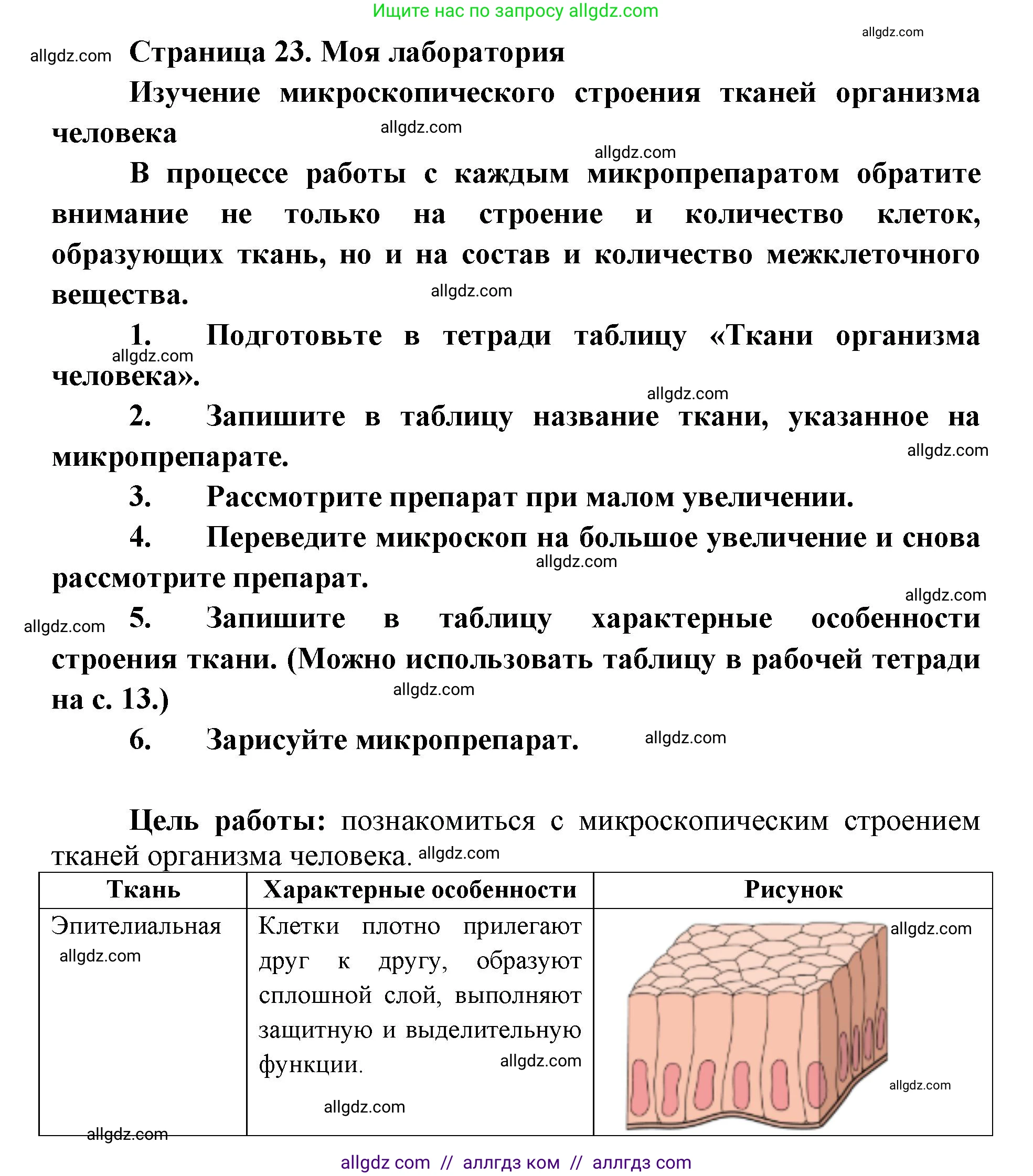 Биология, 8 класс Учебник, авторы: Пасечник Владимир Васильевич, Каменский Андрей Александрович, Швецов Глеб Геннадьевич, издательство Просвещение, Москва, 2019, страница 23, Решение 1
