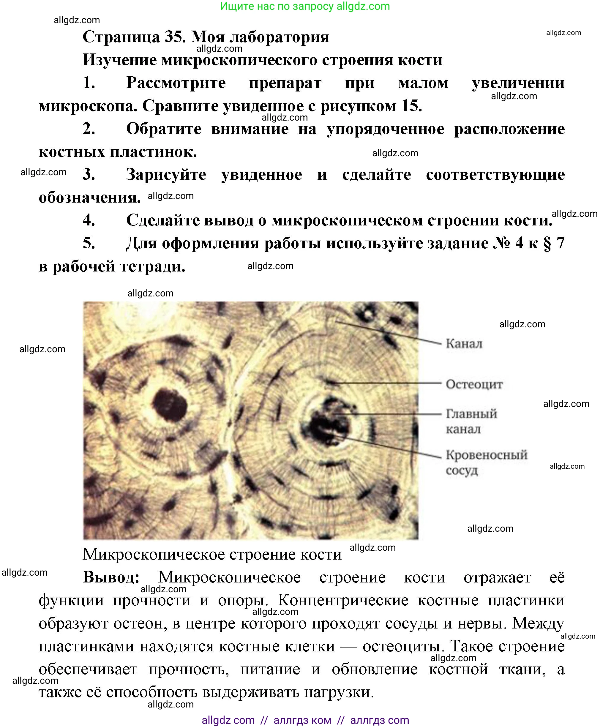 Биология, 8 класс Учебник, авторы: Пасечник Владимир Васильевич, Каменский Андрей Александрович, Швецов Глеб Геннадьевич, издательство Просвещение, Москва, 2019, страница 35, Решение 1