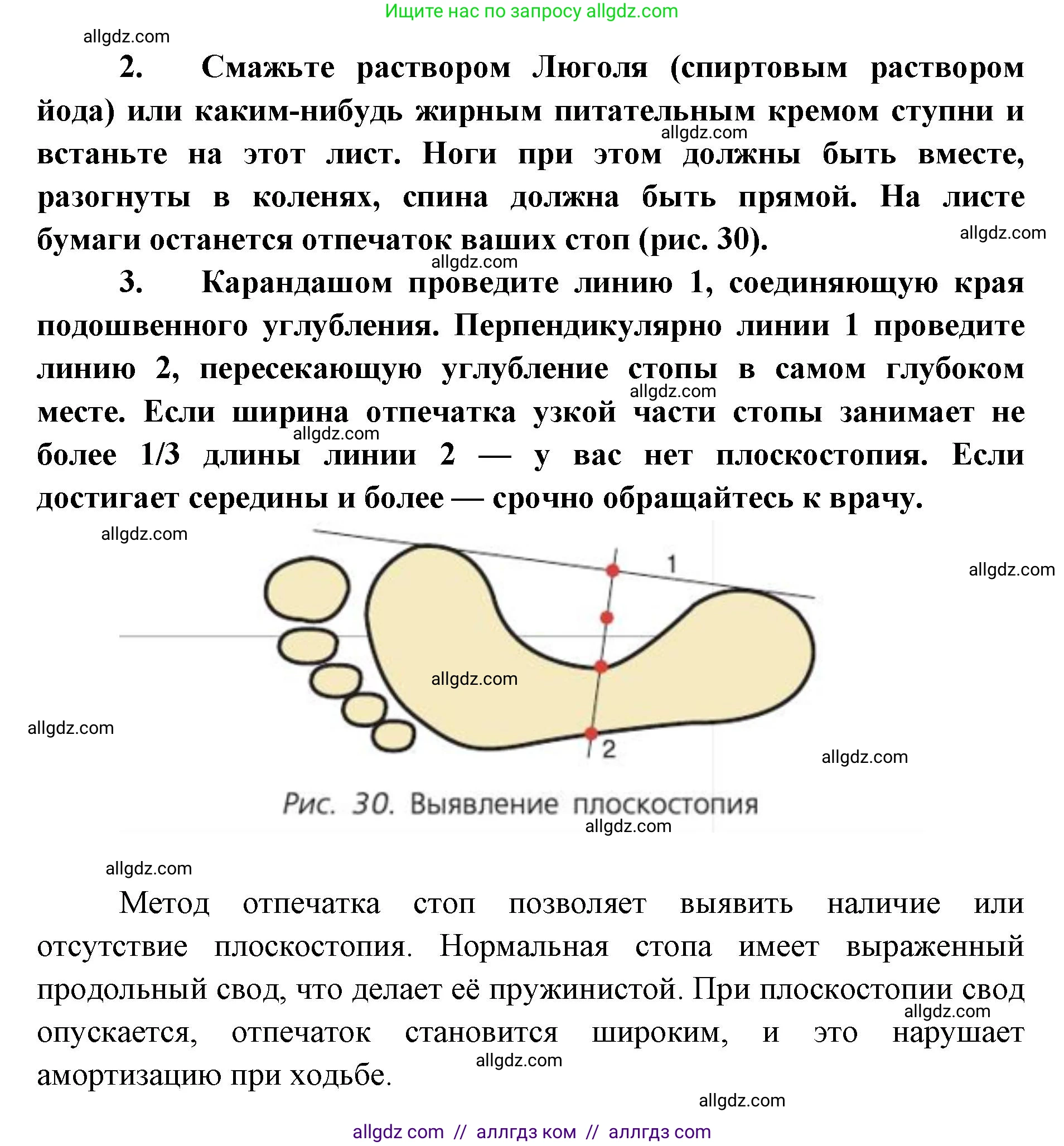 Биология, 8 класс Учебник, авторы: Пасечник Владимир Васильевич, Каменский Андрей Александрович, Швецов Глеб Геннадьевич, издательство Просвещение, Москва, 2019, страница 57, Решение 1 (продолжение 2)