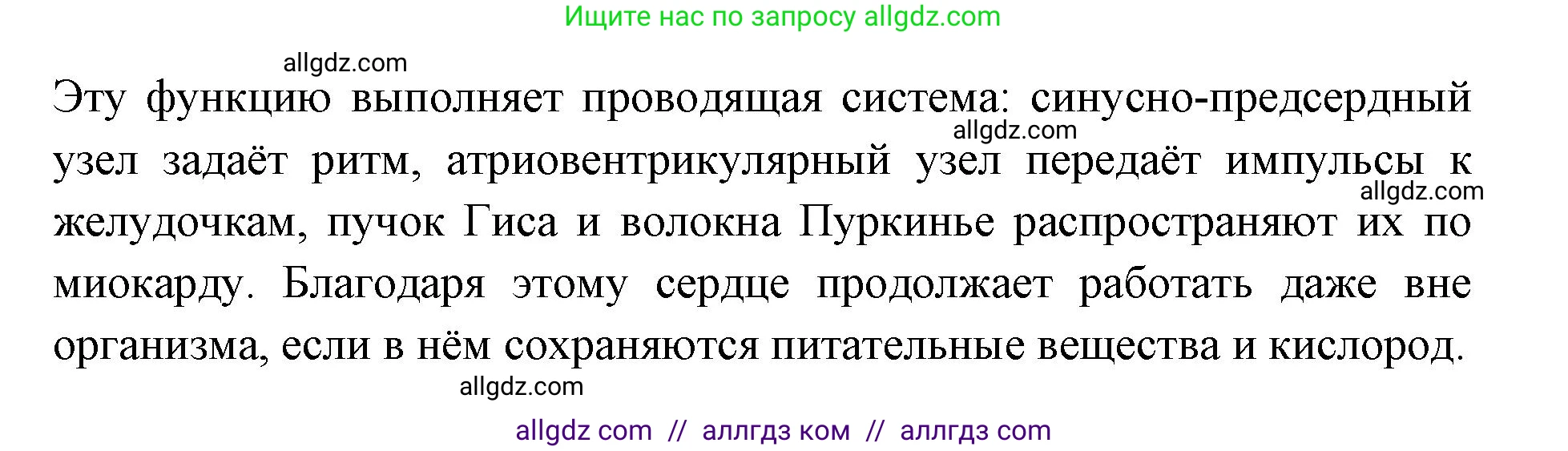 Биология, 8 класс Учебник, авторы: Пасечник Владимир Васильевич, Каменский Андрей Александрович, Швецов Глеб Геннадьевич, издательство Просвещение, Москва, 2019, страница 79, номер 4, Решение 1 (продолжение 2)