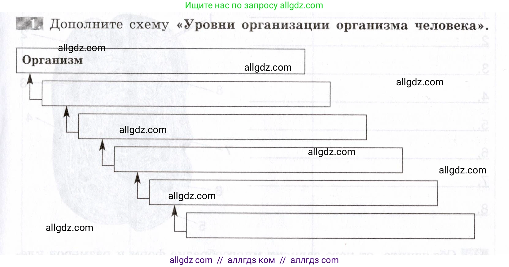 Биология, 8 класс рабочая тетрадь, авторы: Пасечник Владимир Васильевич, Швецов Глеб Геннадьевич, издательство Просвещение, Москва, 2019, страница 11, номер 1, Условие