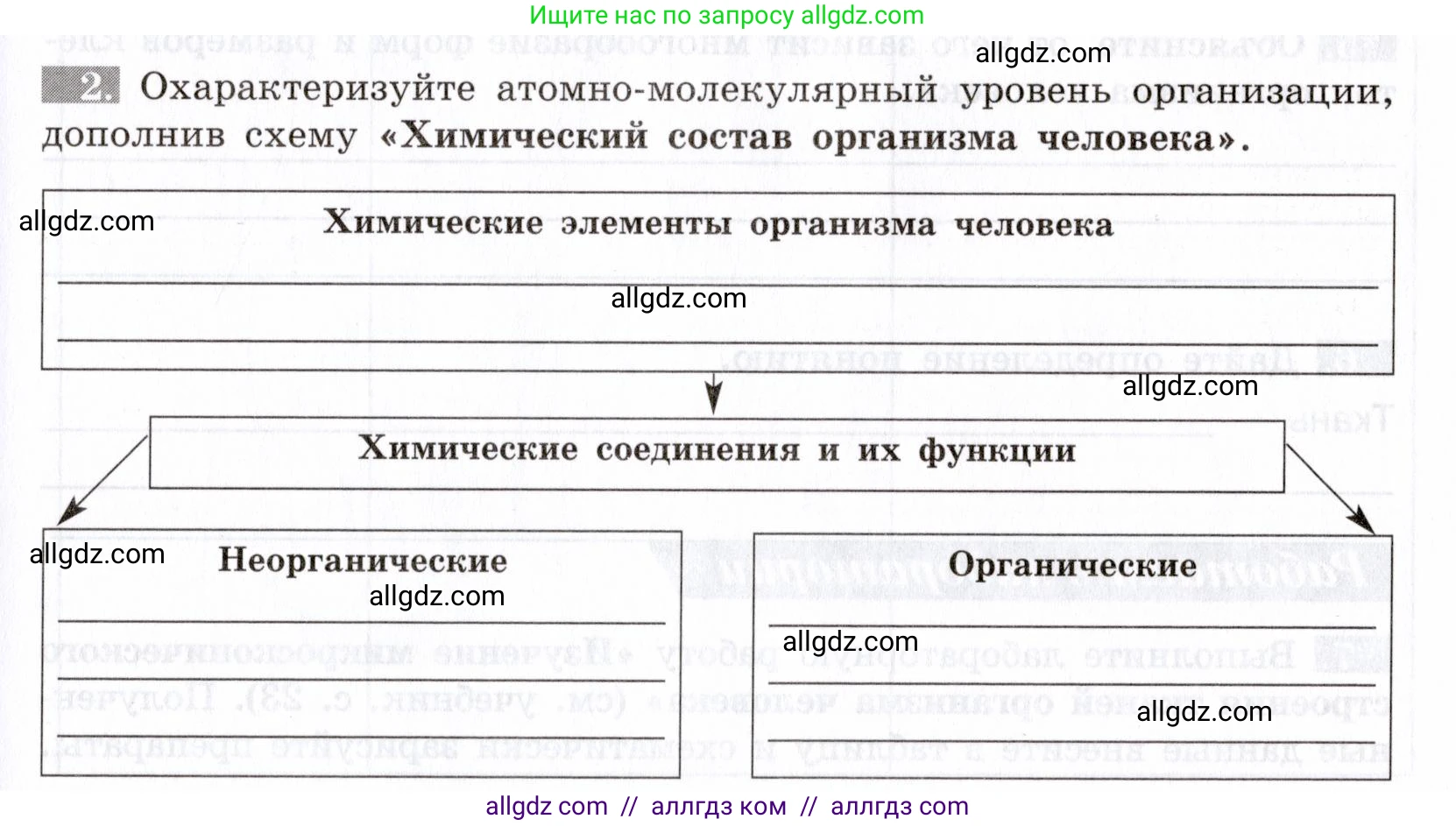 Биология, 8 класс рабочая тетрадь, авторы: Пасечник Владимир Васильевич, Швецов Глеб Геннадьевич, издательство Просвещение, Москва, 2019, страница 11, номер 2, Условие