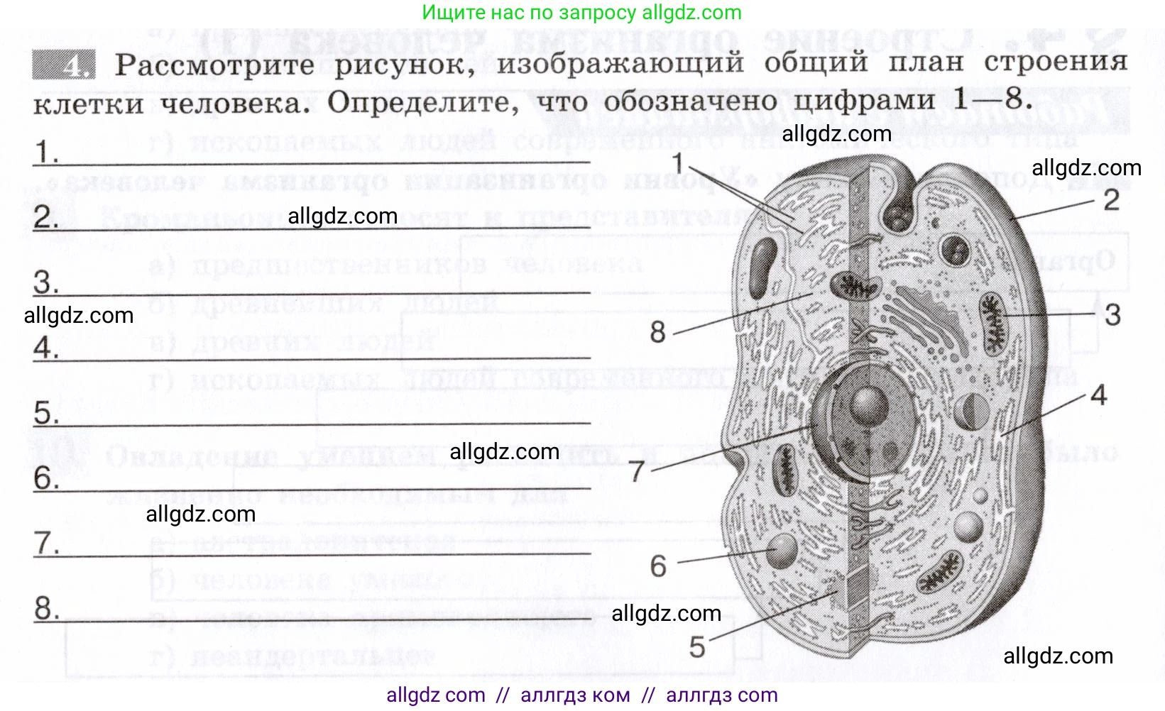 Биология, 8 класс рабочая тетрадь, авторы: Пасечник Владимир Васильевич, Швецов Глеб Геннадьевич, издательство Просвещение, Москва, 2019, страница 12, номер 4, Условие