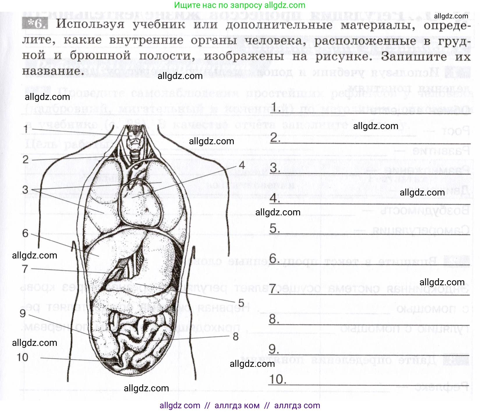 Биология, 8 класс рабочая тетрадь, авторы: Пасечник Владимир Васильевич, Швецов Глеб Геннадьевич, издательство Просвещение, Москва, 2019, страница 15, номер 6, Условие