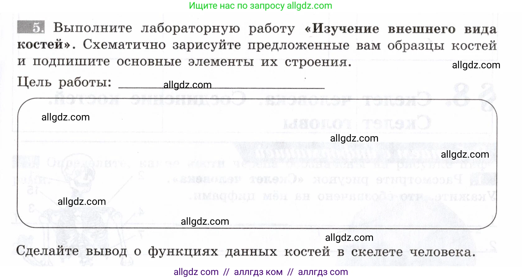 Биология, 8 класс рабочая тетрадь, авторы: Пасечник Владимир Васильевич, Швецов Глеб Геннадьевич, издательство Просвещение, Москва, 2019, страница 21, номер 5, Условие