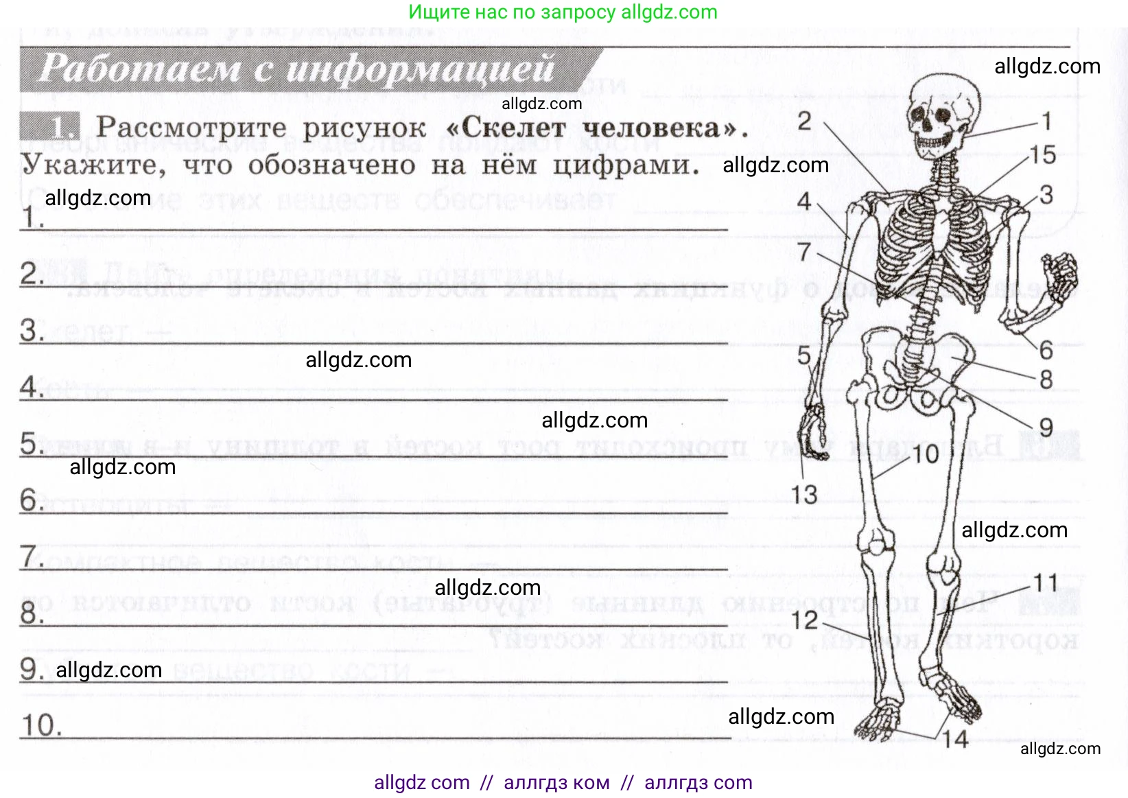 Биология, 8 класс рабочая тетрадь, авторы: Пасечник Владимир Васильевич, Швецов Глеб Геннадьевич, издательство Просвещение, Москва, 2019, страница 22, номер 1, Условие