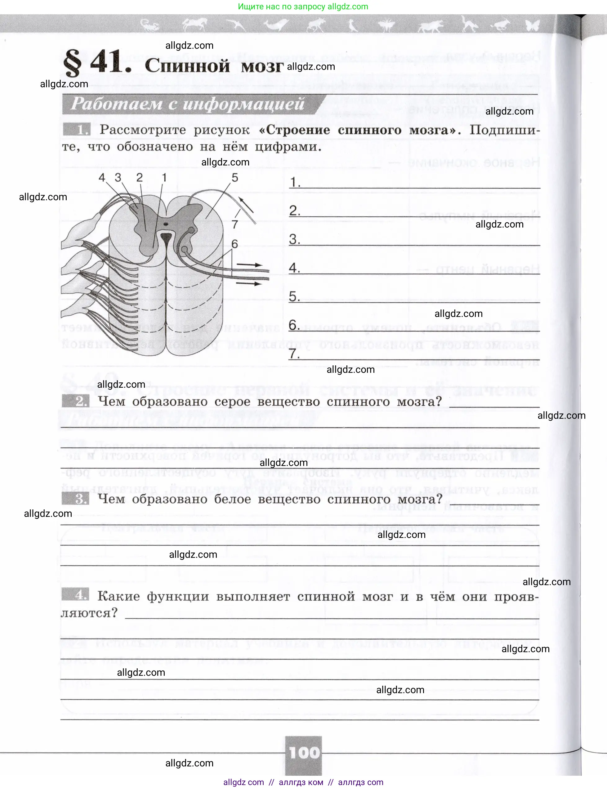 Биология, 8 класс рабочая тетрадь, авторы: Пасечник Владимир Васильевич, Швецов Глеб Геннадьевич, издательство Просвещение, Москва, 2019, страница 100