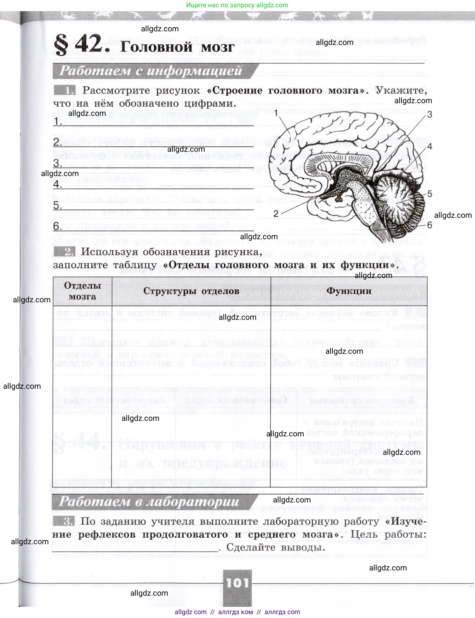 Биология, 8 класс рабочая тетрадь, авторы: Пасечник Владимир Васильевич, Швецов Глеб Геннадьевич, издательство Просвещение, Москва, 2019, страница 101