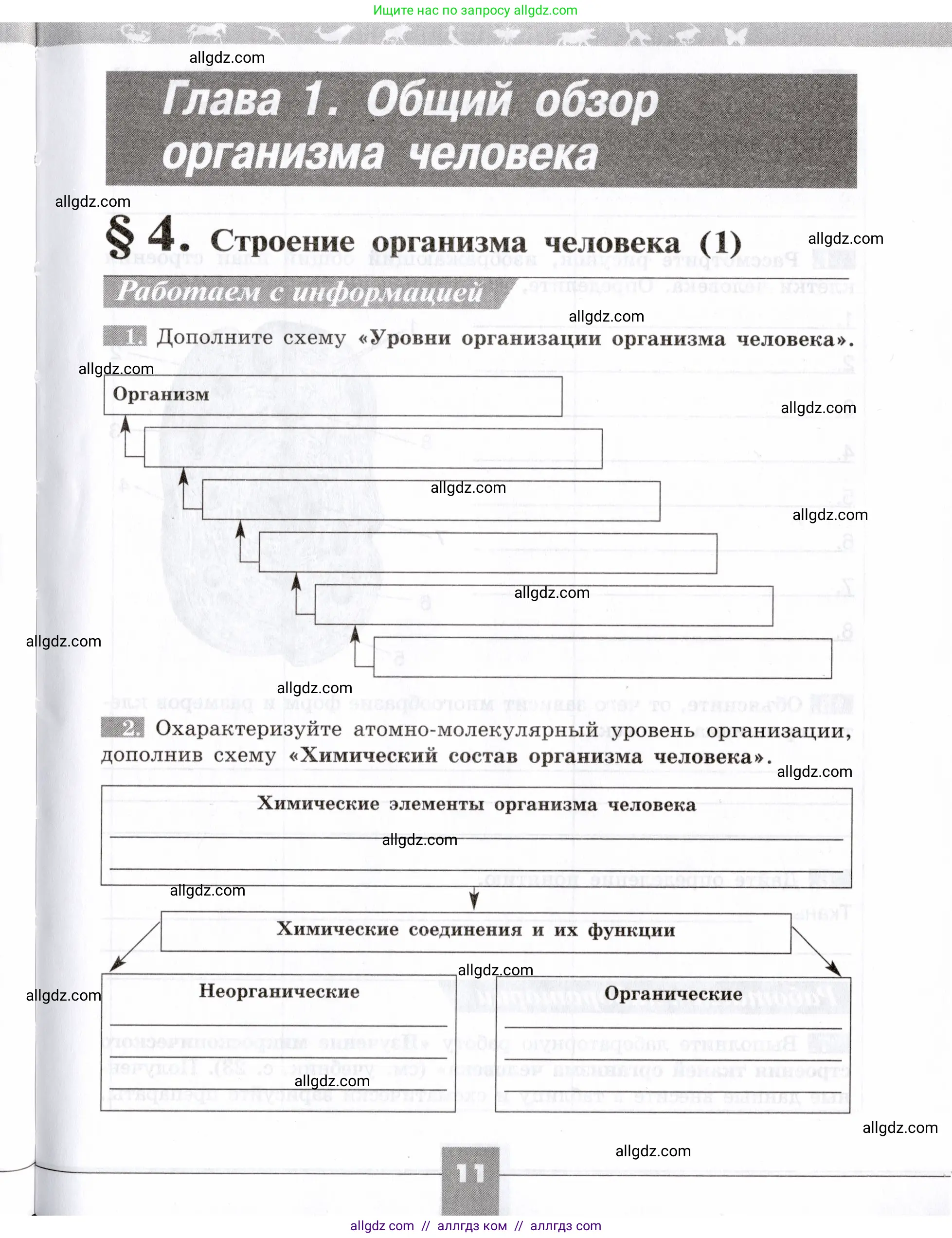 Биология, 8 класс рабочая тетрадь, авторы: Пасечник Владимир Васильевич, Швецов Глеб Геннадьевич, издательство Просвещение, Москва, 2019, страница 11