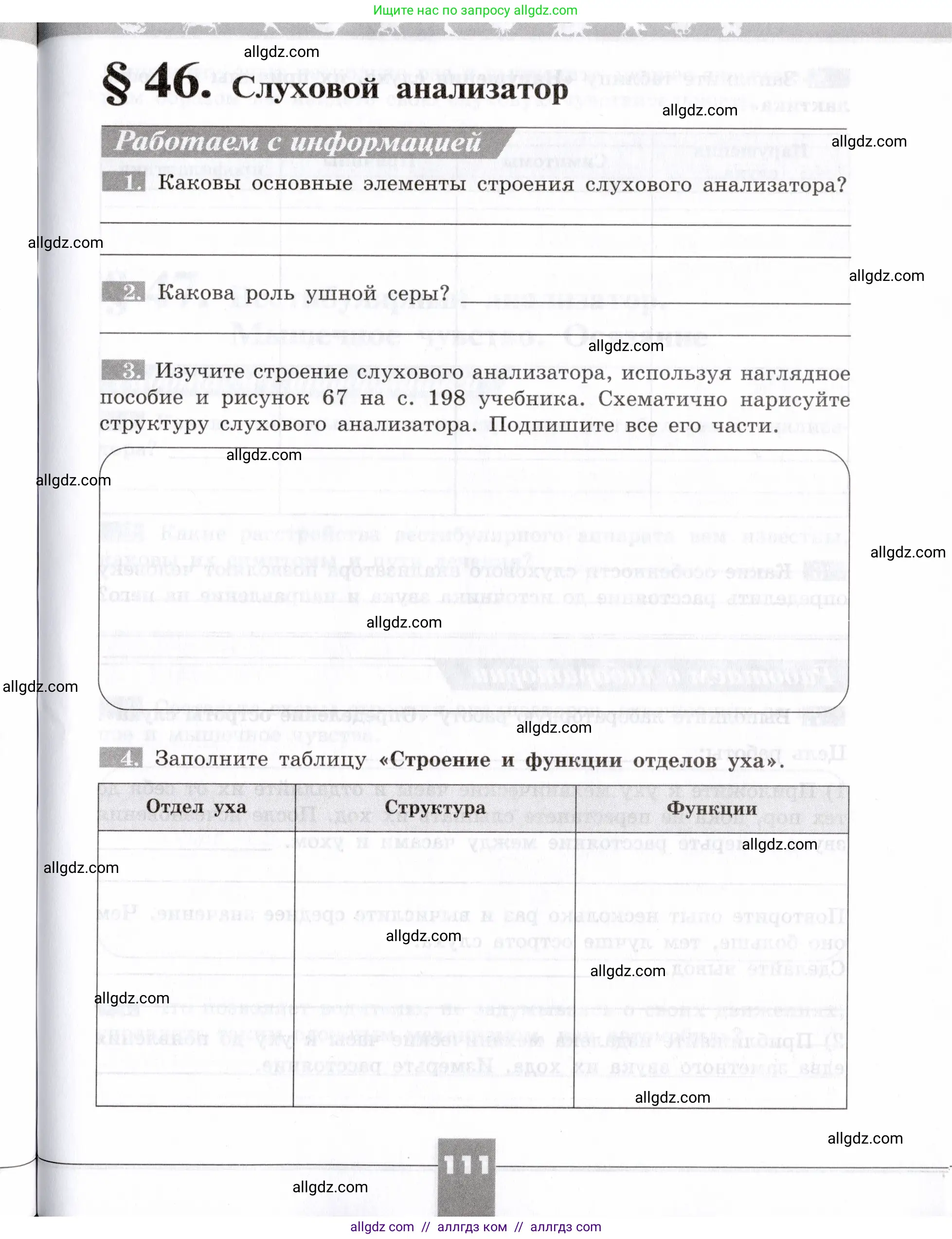 Биология, 8 класс рабочая тетрадь, авторы: Пасечник Владимир Васильевич, Швецов Глеб Геннадьевич, издательство Просвещение, Москва, 2019, страница 111
