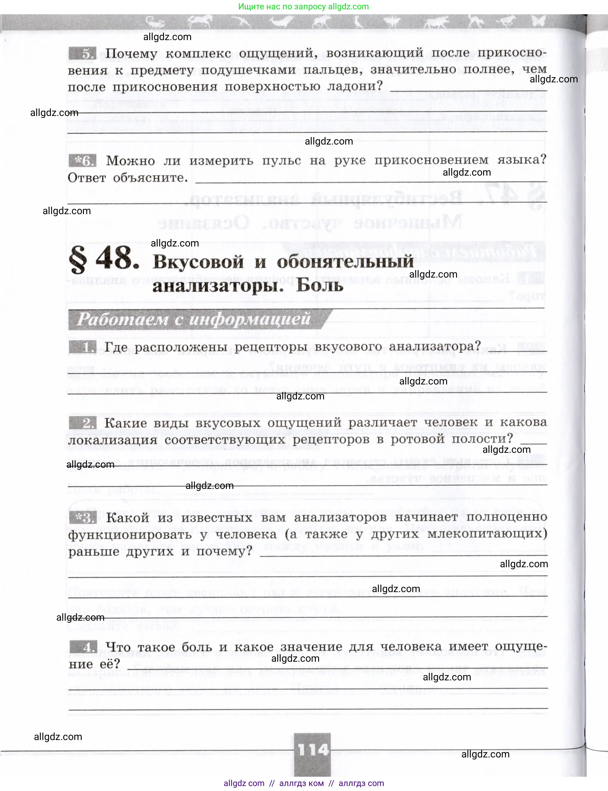 Биология, 8 класс рабочая тетрадь, авторы: Пасечник Владимир Васильевич, Швецов Глеб Геннадьевич, издательство Просвещение, Москва, 2019, страница 114