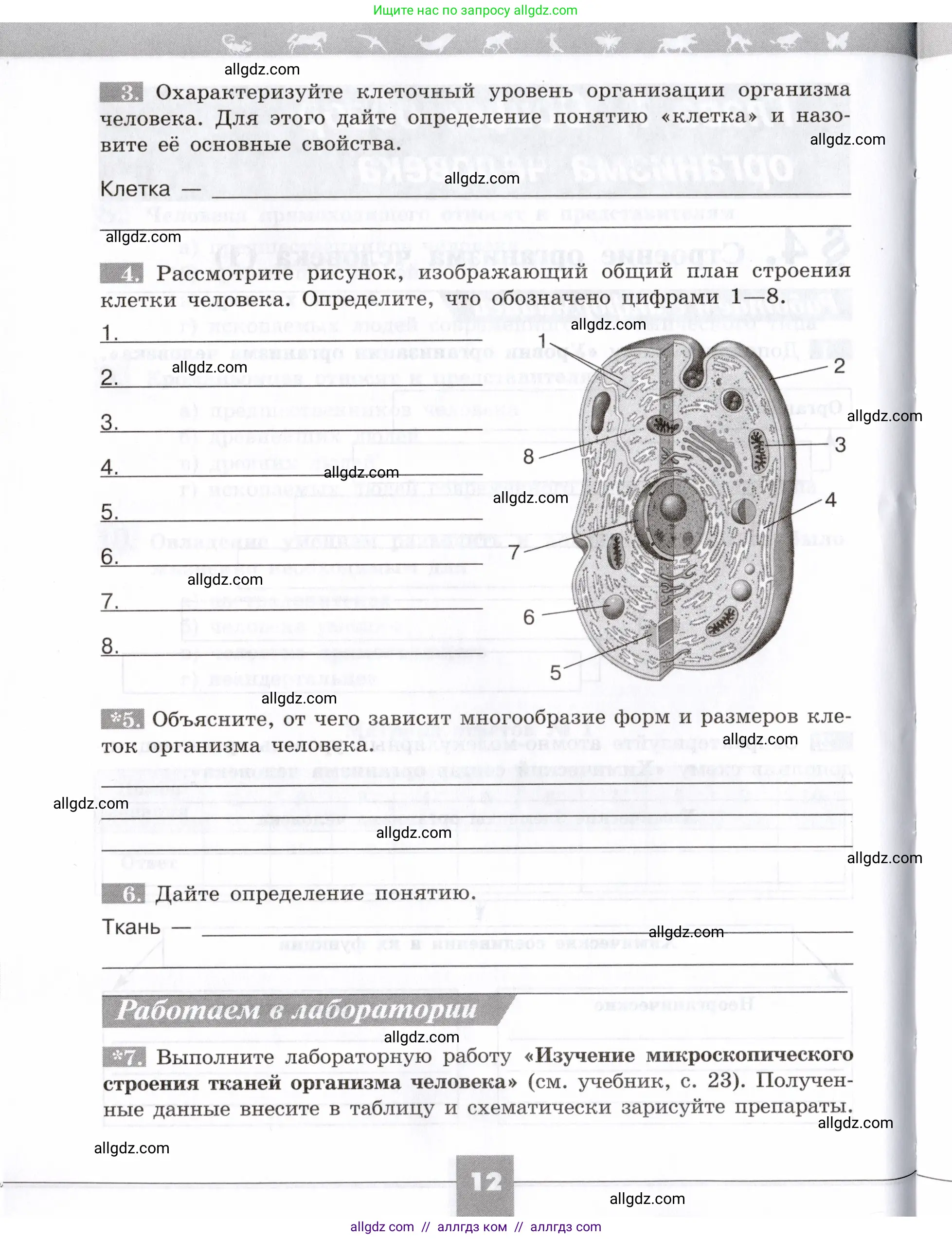 Биология, 8 класс рабочая тетрадь, авторы: Пасечник Владимир Васильевич, Швецов Глеб Геннадьевич, издательство Просвещение, Москва, 2019, страница 12