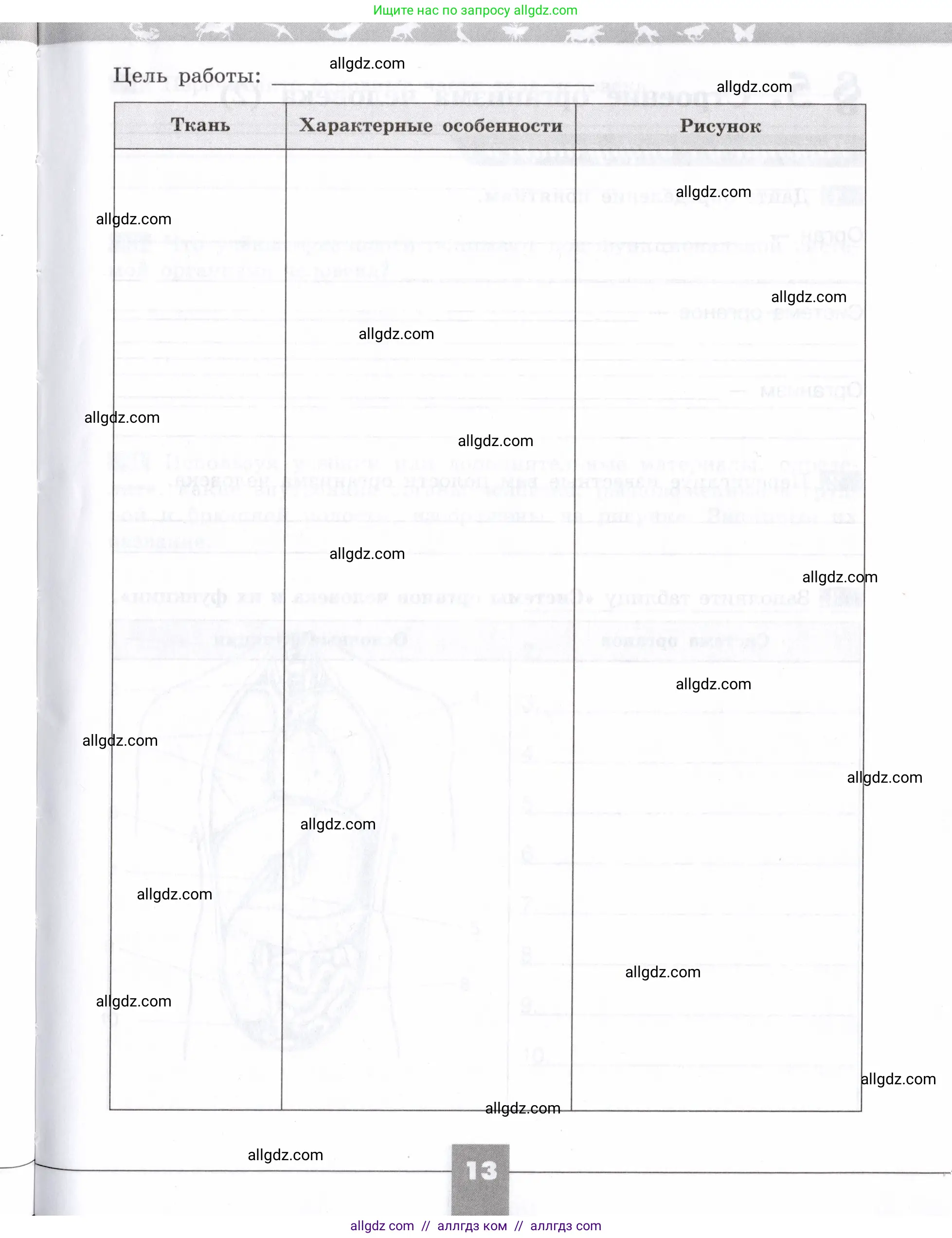 Биология, 8 класс рабочая тетрадь, авторы: Пасечник Владимир Васильевич, Швецов Глеб Геннадьевич, издательство Просвещение, Москва, 2019, страница 13