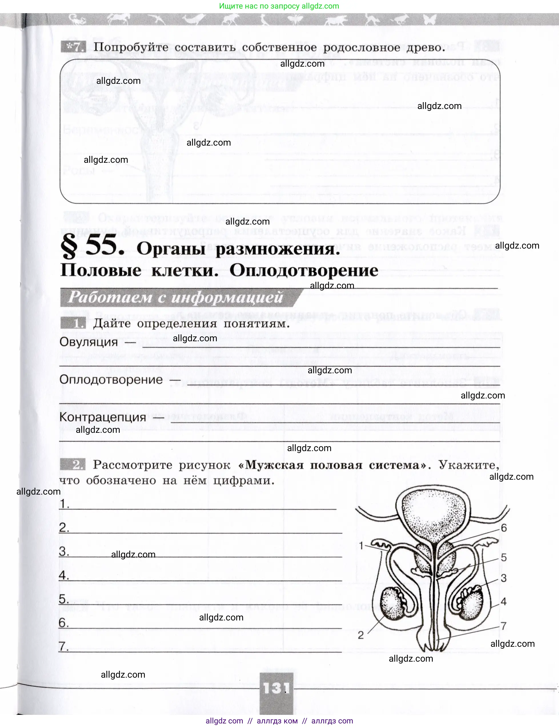 Биология, 8 класс рабочая тетрадь, авторы: Пасечник Владимир Васильевич, Швецов Глеб Геннадьевич, издательство Просвещение, Москва, 2019, страница 131