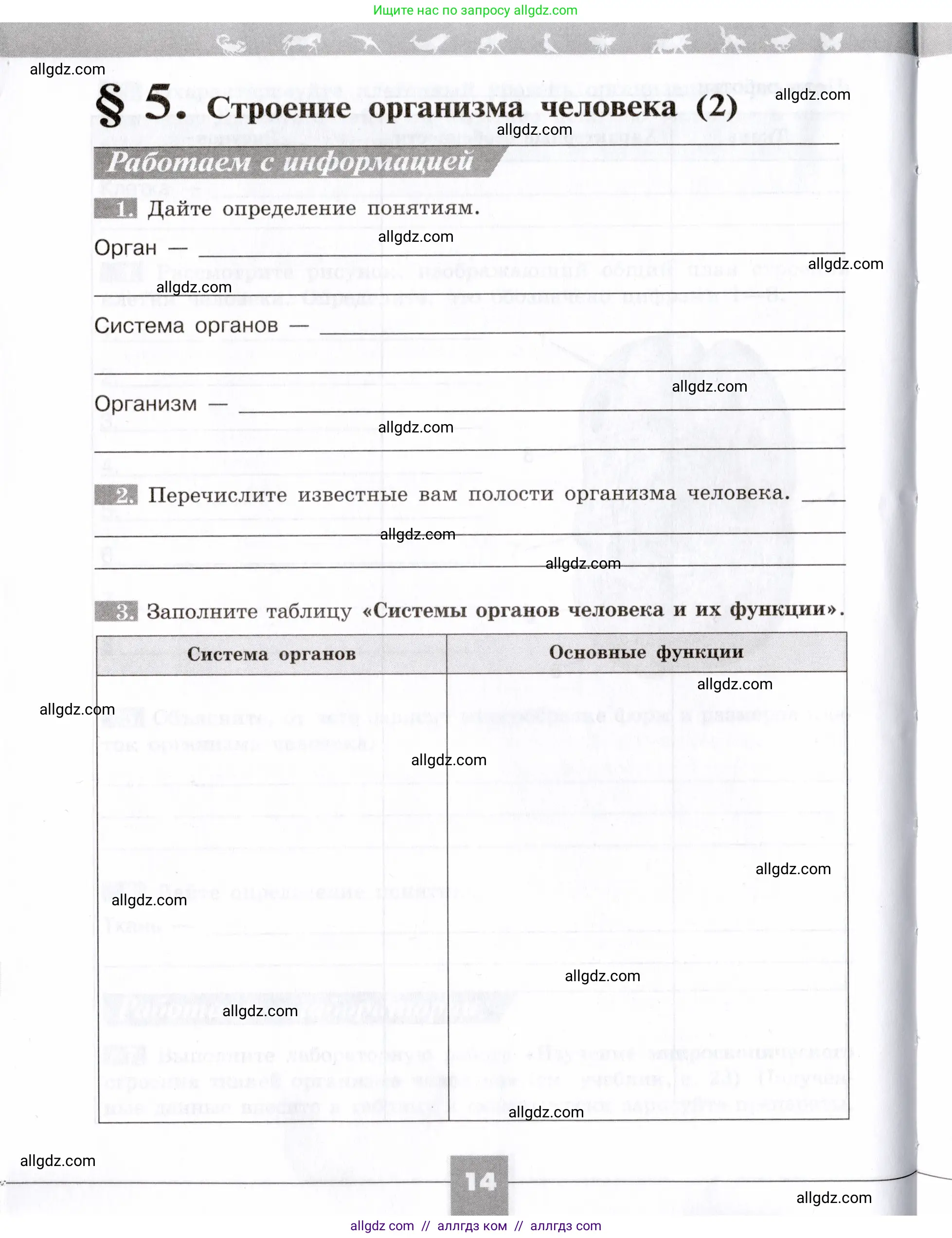 Биология, 8 класс рабочая тетрадь, авторы: Пасечник Владимир Васильевич, Швецов Глеб Геннадьевич, издательство Просвещение, Москва, 2019, страница 14