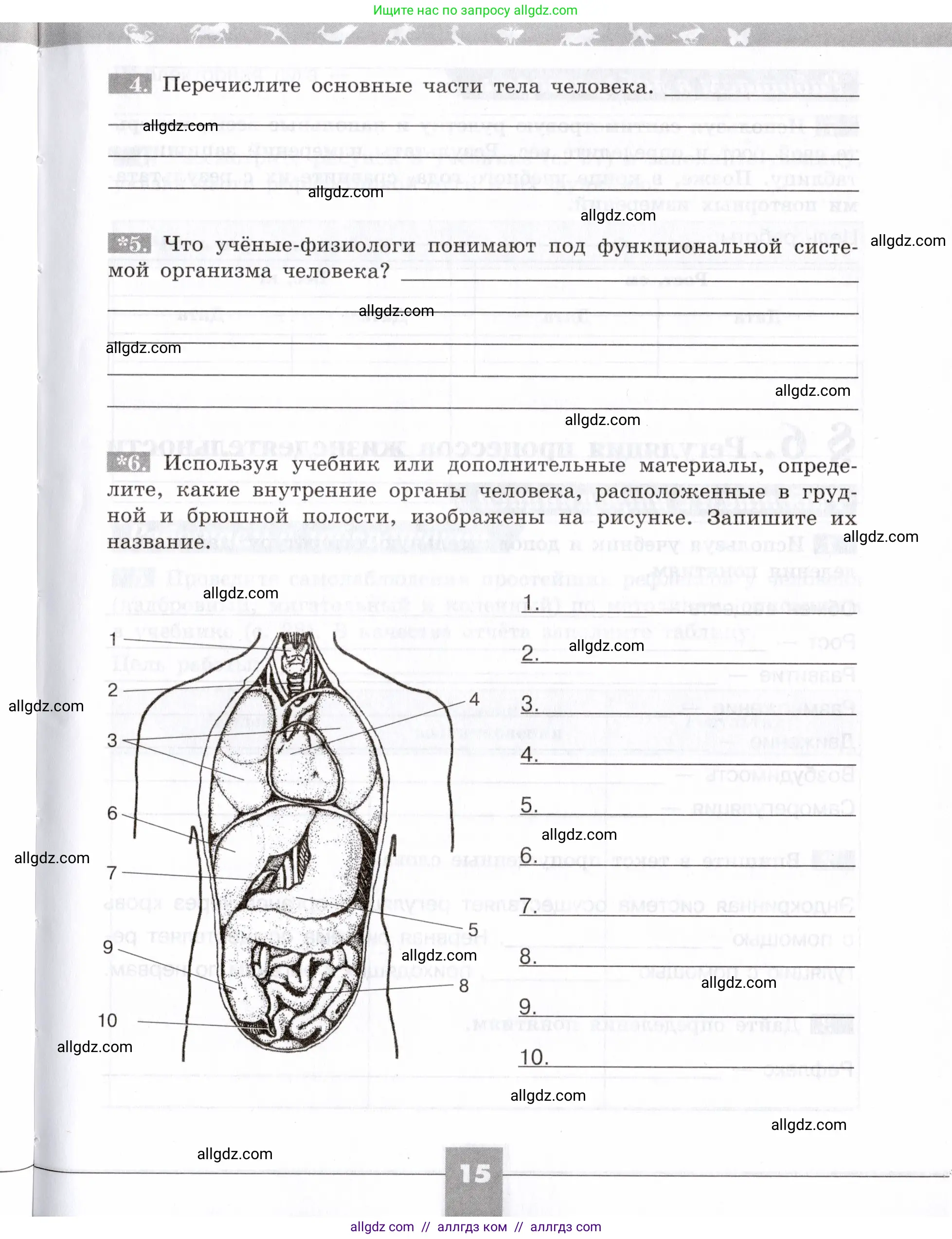 Биология, 8 класс рабочая тетрадь, авторы: Пасечник Владимир Васильевич, Швецов Глеб Геннадьевич, издательство Просвещение, Москва, 2019, страница 15