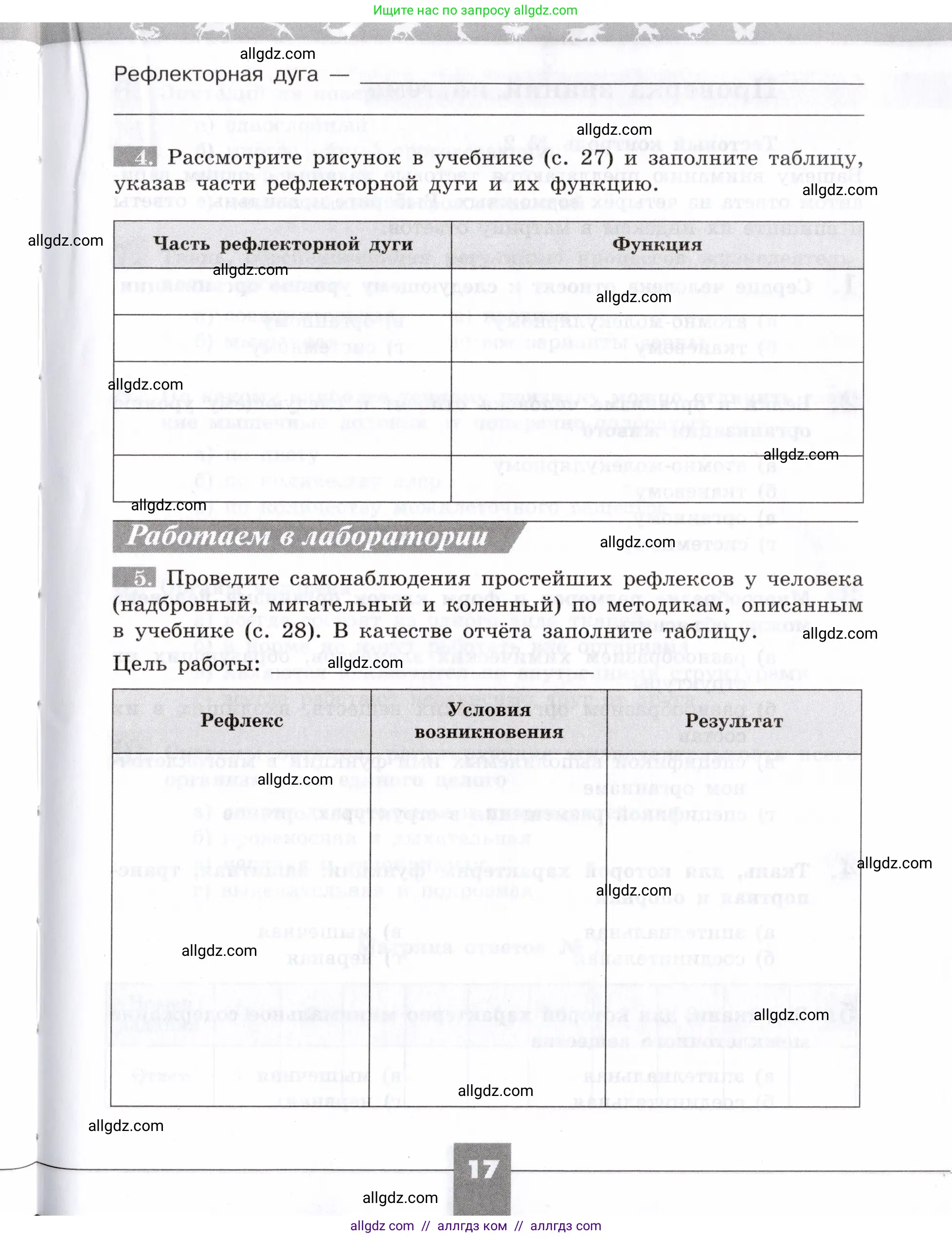 Биология, 8 класс рабочая тетрадь, авторы: Пасечник Владимир Васильевич, Швецов Глеб Геннадьевич, издательство Просвещение, Москва, 2019, страница 17