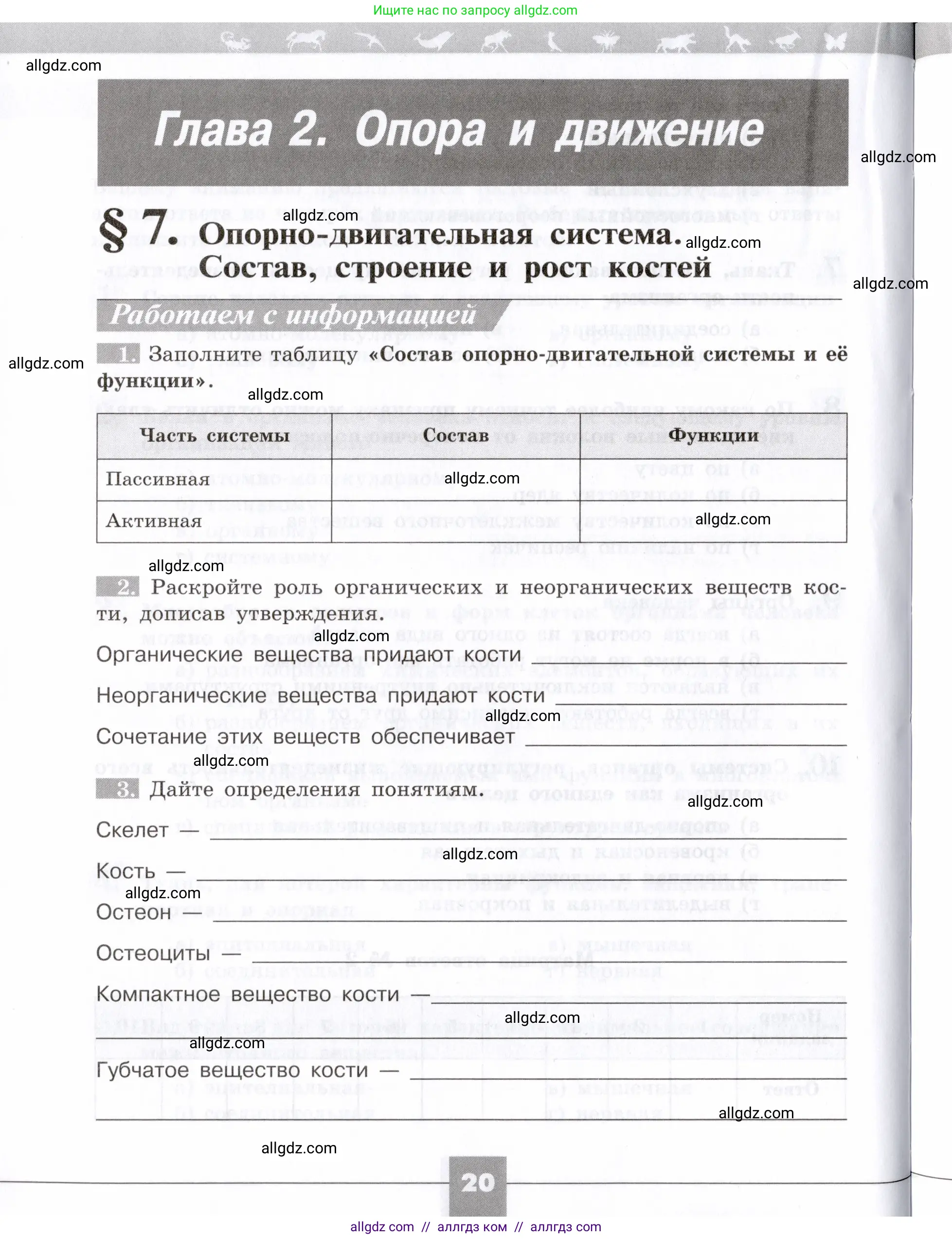 Биология, 8 класс рабочая тетрадь, авторы: Пасечник Владимир Васильевич, Швецов Глеб Геннадьевич, издательство Просвещение, Москва, 2019, страница 20