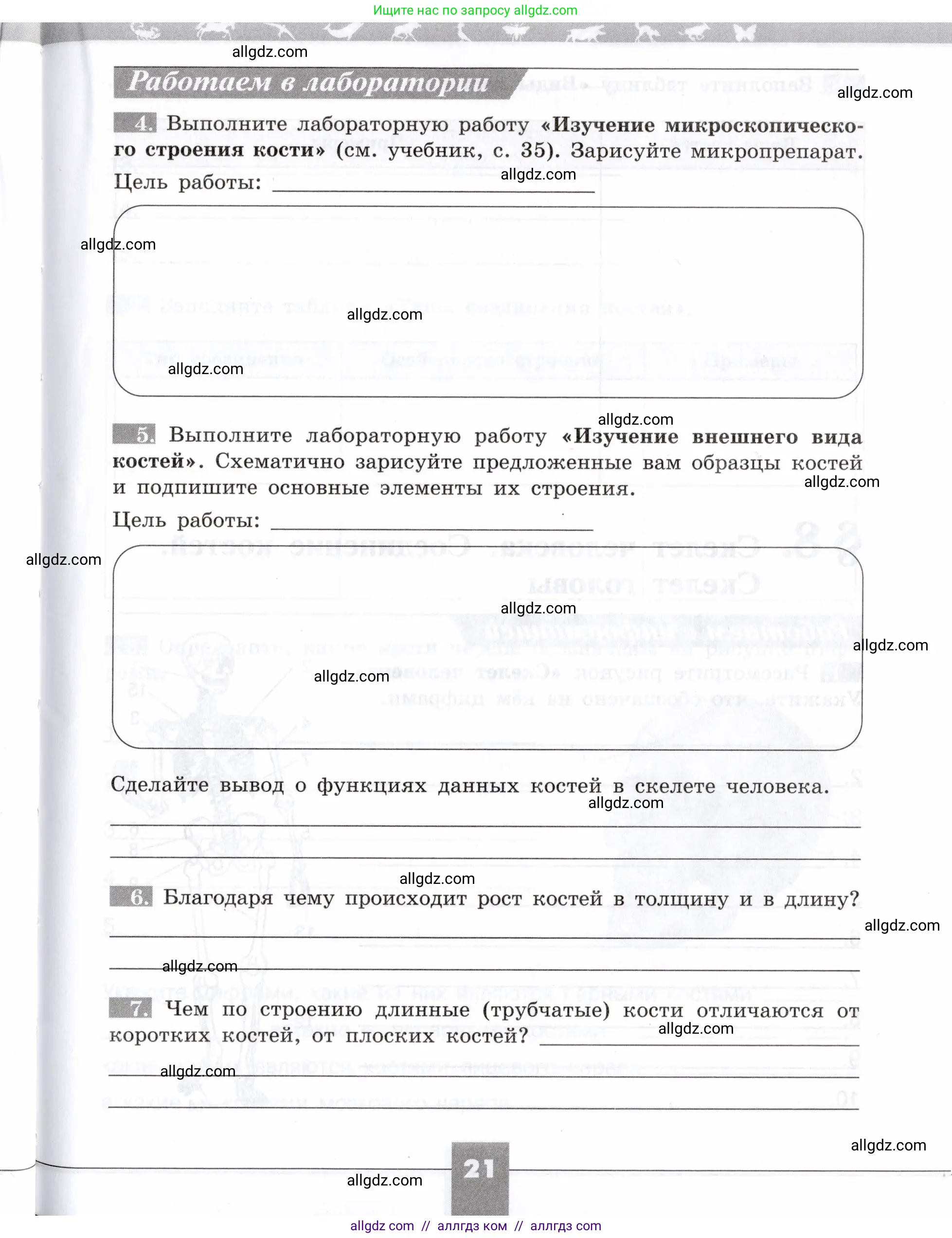 Биология, 8 класс рабочая тетрадь, авторы: Пасечник Владимир Васильевич, Швецов Глеб Геннадьевич, издательство Просвещение, Москва, 2019, страница 21