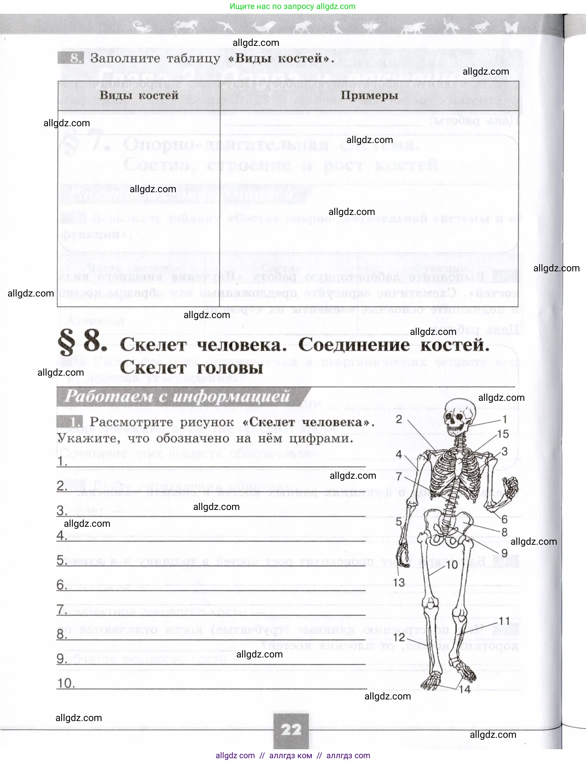 Биология, 8 класс рабочая тетрадь, авторы: Пасечник Владимир Васильевич, Швецов Глеб Геннадьевич, издательство Просвещение, Москва, 2019, страница 22
