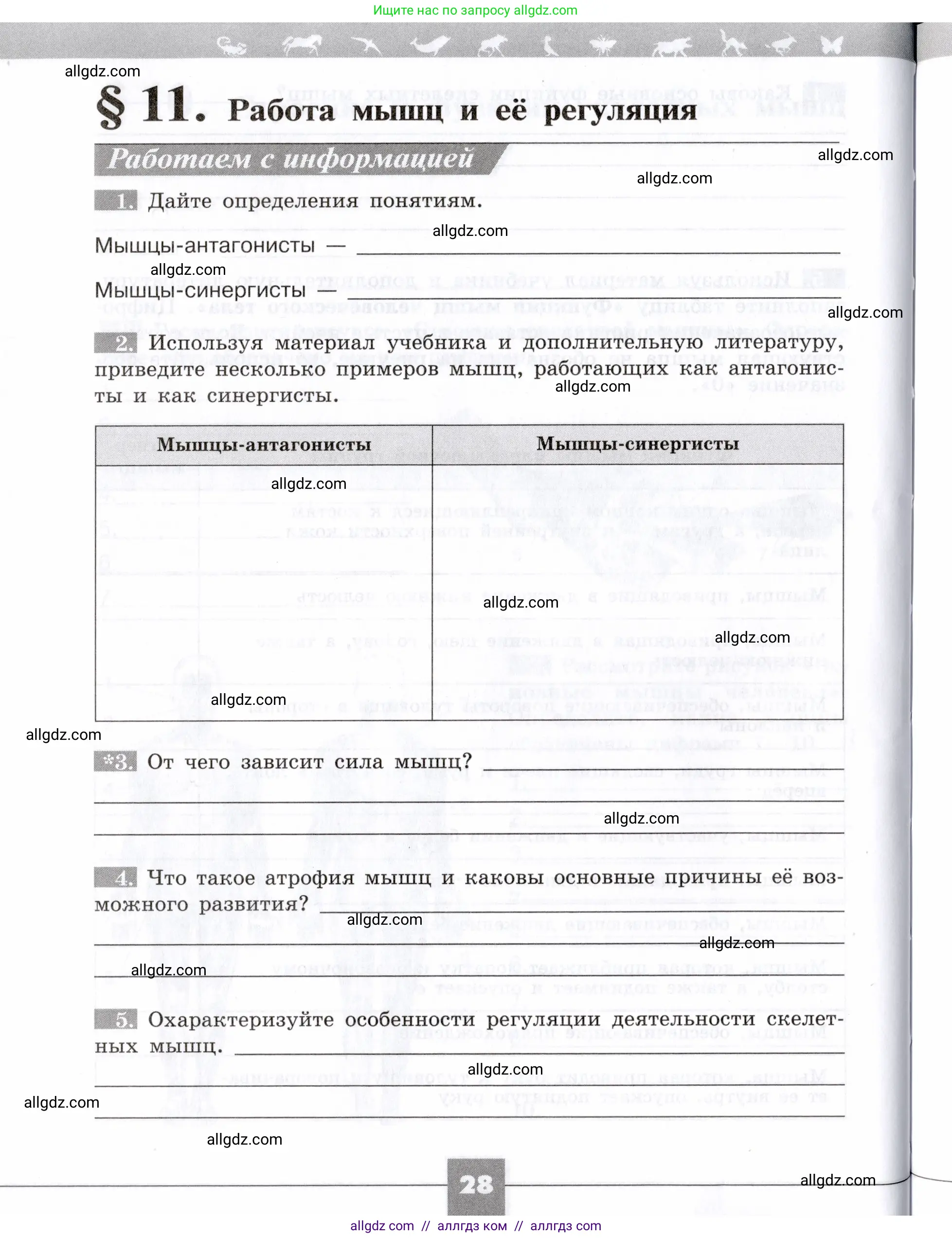 Биология, 8 класс рабочая тетрадь, авторы: Пасечник Владимир Васильевич, Швецов Глеб Геннадьевич, издательство Просвещение, Москва, 2019, страница 28