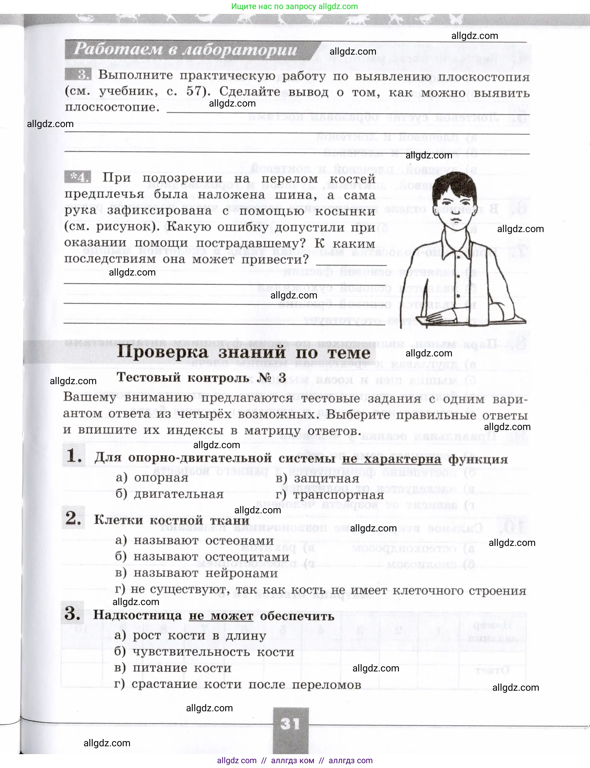Биология, 8 класс рабочая тетрадь, авторы: Пасечник Владимир Васильевич, Швецов Глеб Геннадьевич, издательство Просвещение, Москва, 2019, страница 31