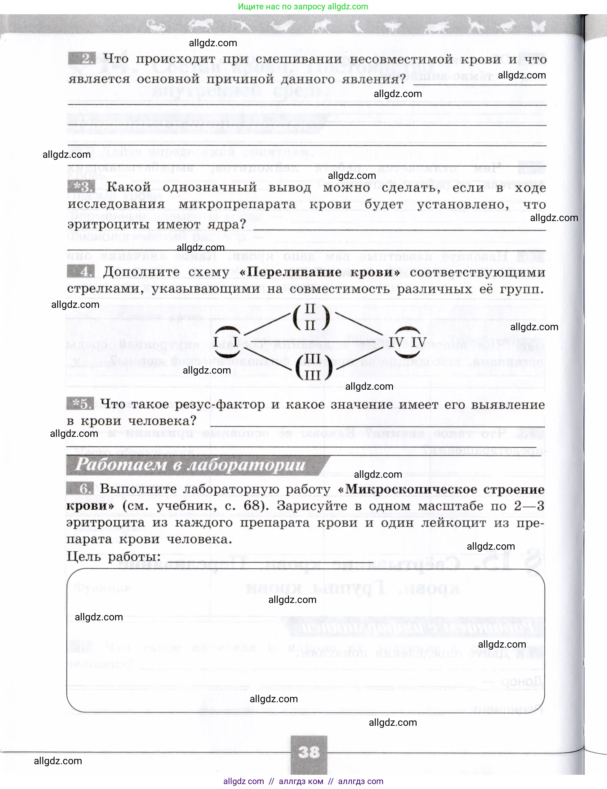 Биология, 8 класс рабочая тетрадь, авторы: Пасечник Владимир Васильевич, Швецов Глеб Геннадьевич, издательство Просвещение, Москва, 2019, страница 38