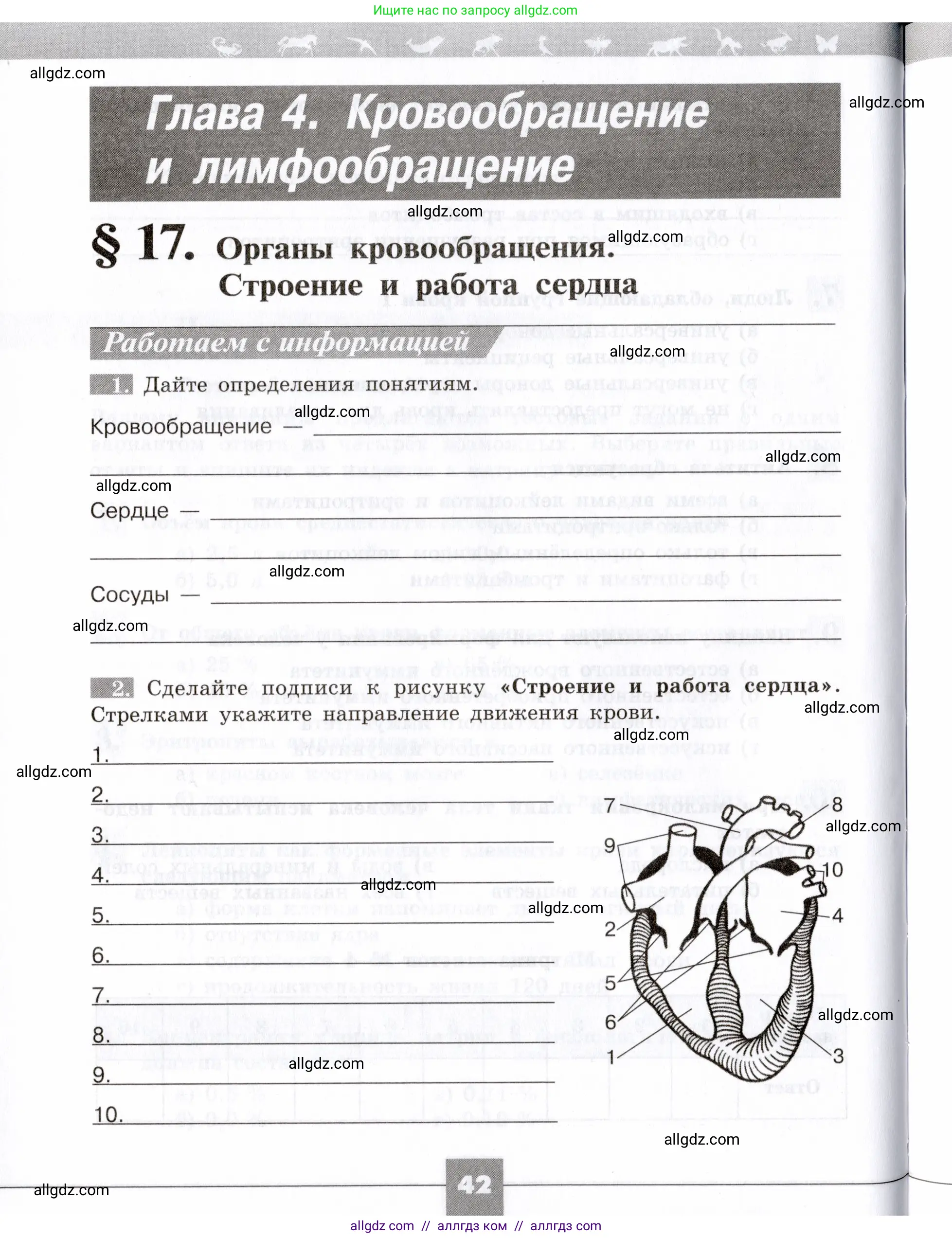 Биология, 8 класс рабочая тетрадь, авторы: Пасечник Владимир Васильевич, Швецов Глеб Геннадьевич, издательство Просвещение, Москва, 2019, страница 42
