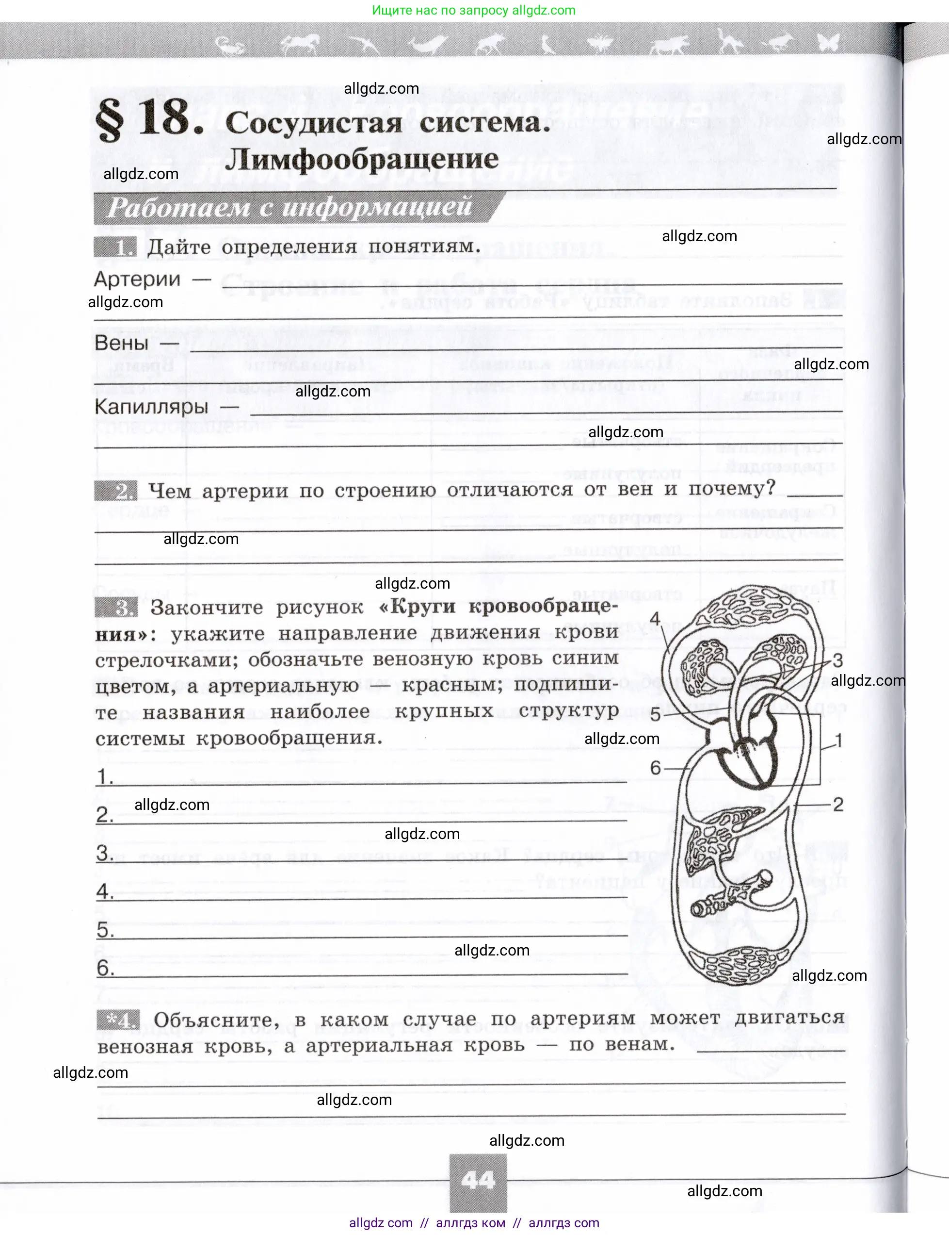 Биология, 8 класс рабочая тетрадь, авторы: Пасечник Владимир Васильевич, Швецов Глеб Геннадьевич, издательство Просвещение, Москва, 2019, страница 44