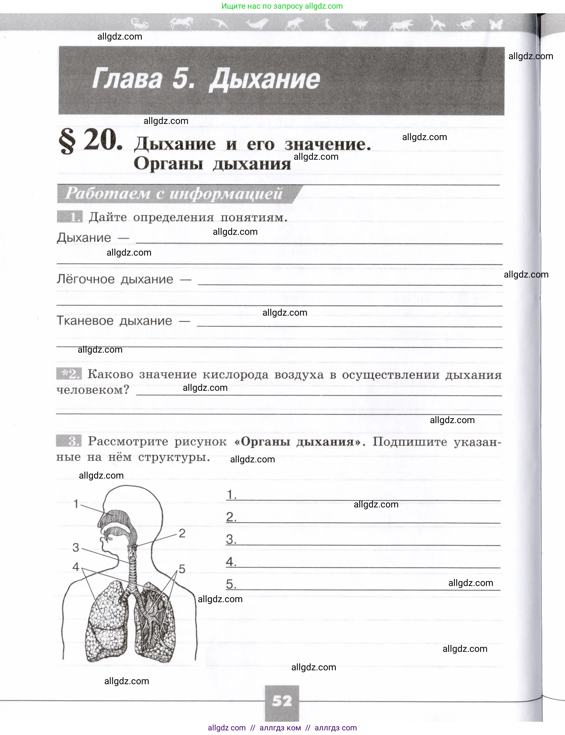 Биология, 8 класс рабочая тетрадь, авторы: Пасечник Владимир Васильевич, Швецов Глеб Геннадьевич, издательство Просвещение, Москва, 2019, страница 52
