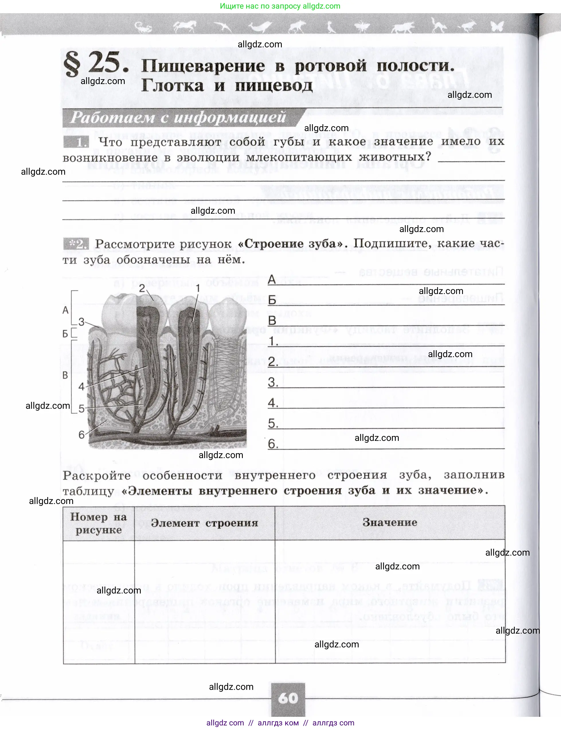 Биология, 8 класс рабочая тетрадь, авторы: Пасечник Владимир Васильевич, Швецов Глеб Геннадьевич, издательство Просвещение, Москва, 2019, страница 60