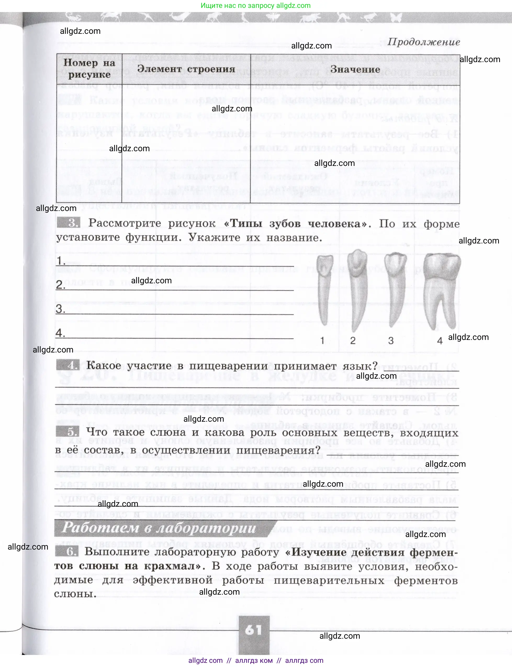 Биология, 8 класс рабочая тетрадь, авторы: Пасечник Владимир Васильевич, Швецов Глеб Геннадьевич, издательство Просвещение, Москва, 2019, страница 61