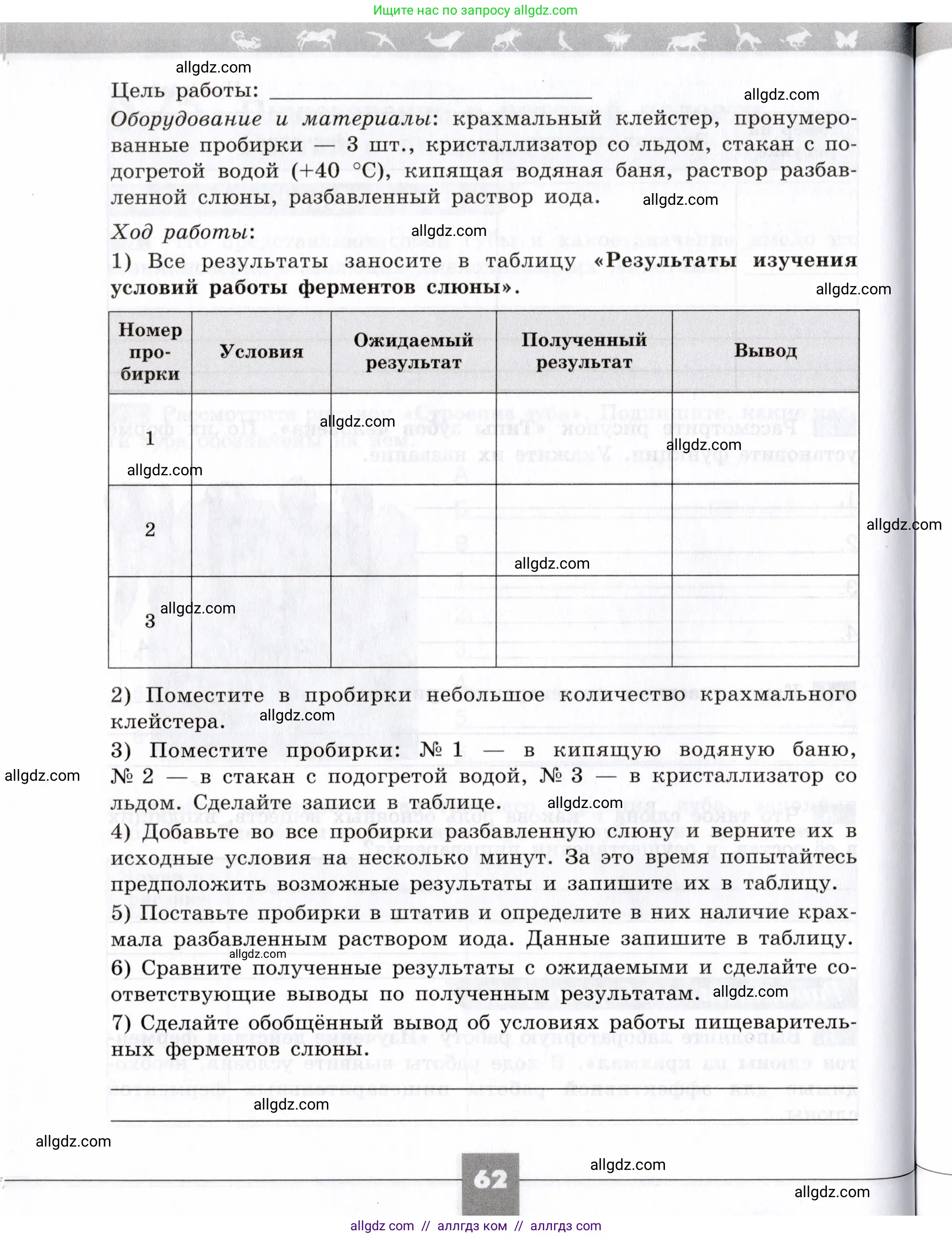Биология, 8 класс рабочая тетрадь, авторы: Пасечник Владимир Васильевич, Швецов Глеб Геннадьевич, издательство Просвещение, Москва, 2019, страница 62