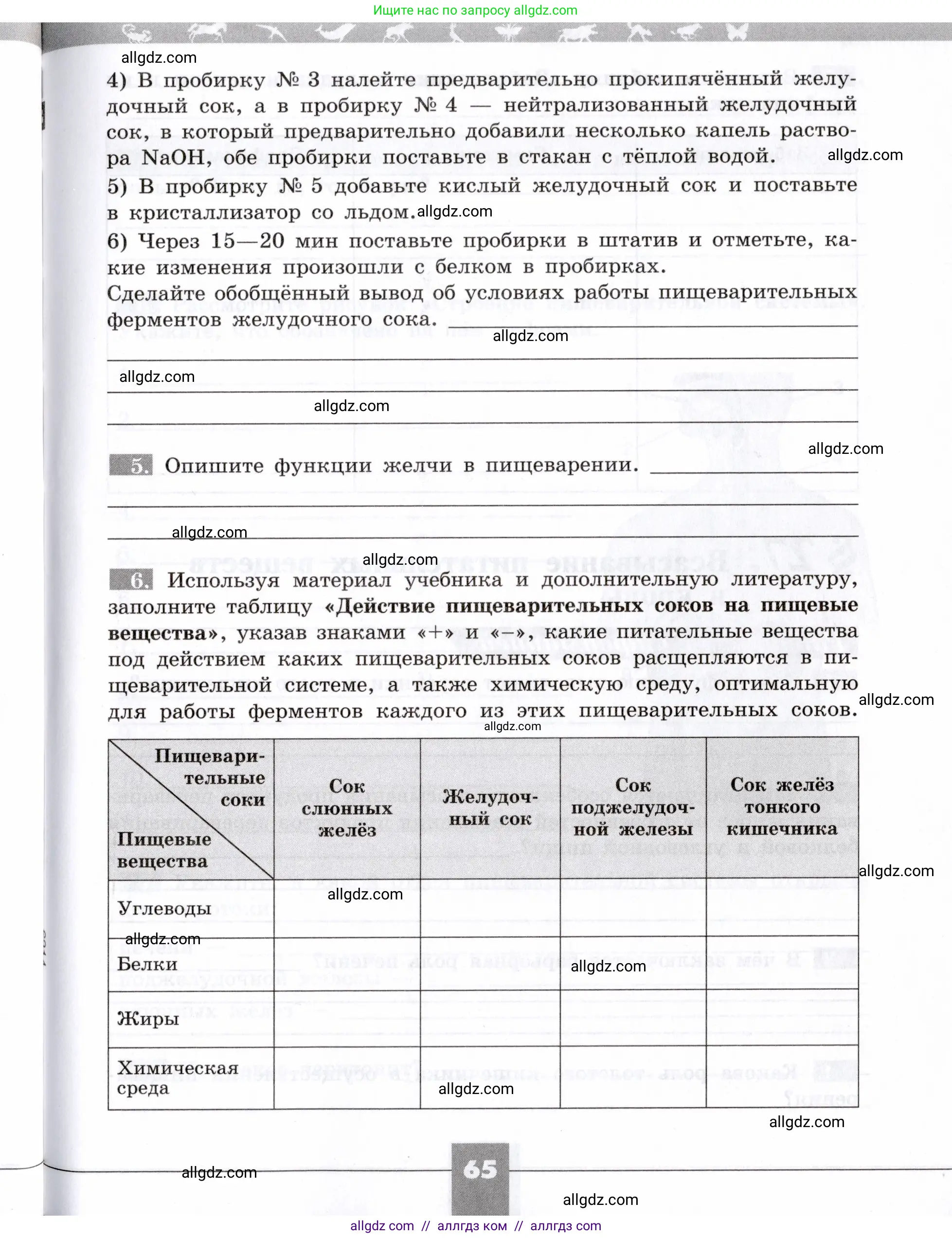 Биология, 8 класс рабочая тетрадь, авторы: Пасечник Владимир Васильевич, Швецов Глеб Геннадьевич, издательство Просвещение, Москва, 2019, страница 65