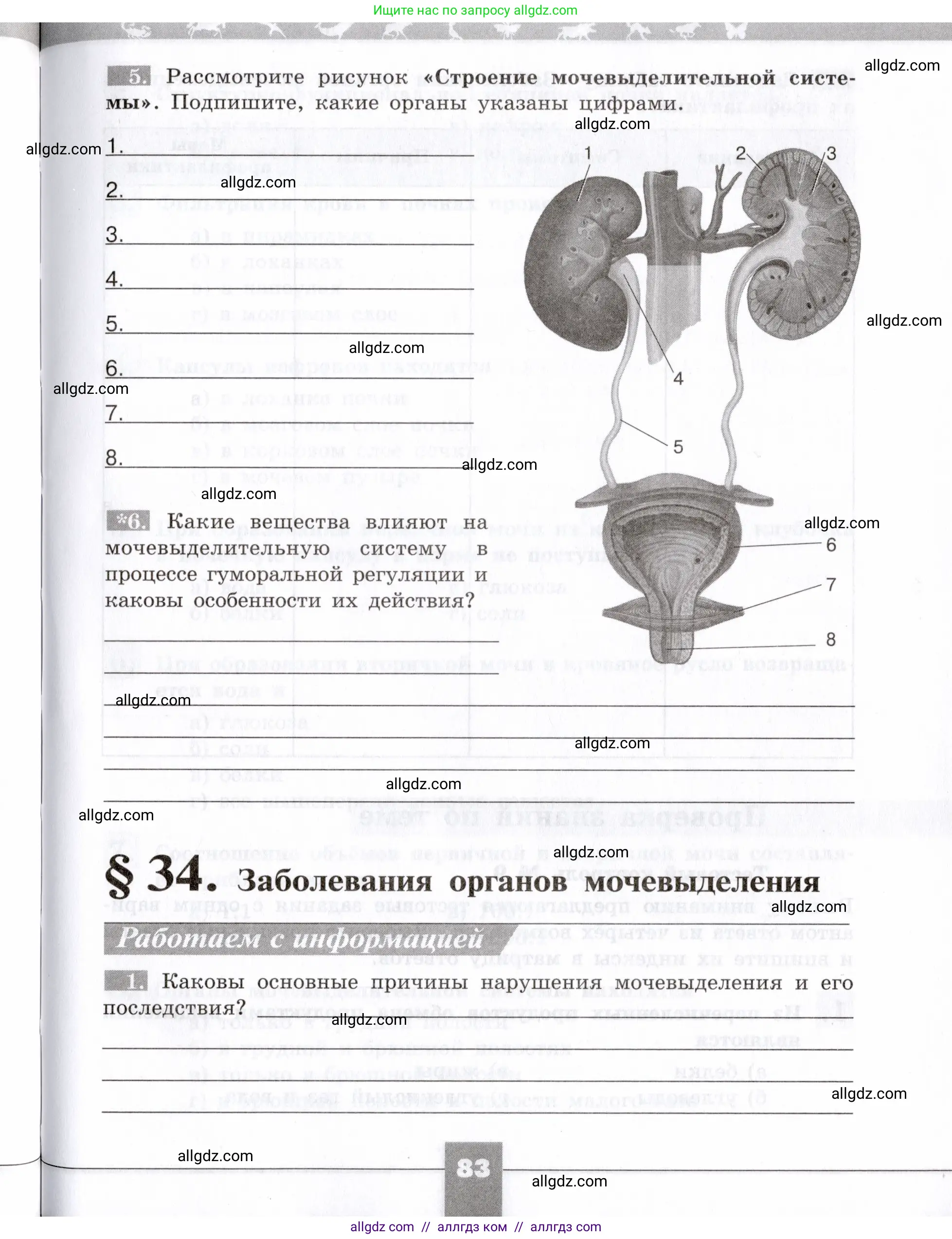 Биология, 8 класс рабочая тетрадь, авторы: Пасечник Владимир Васильевич, Швецов Глеб Геннадьевич, издательство Просвещение, Москва, 2019, страница 83