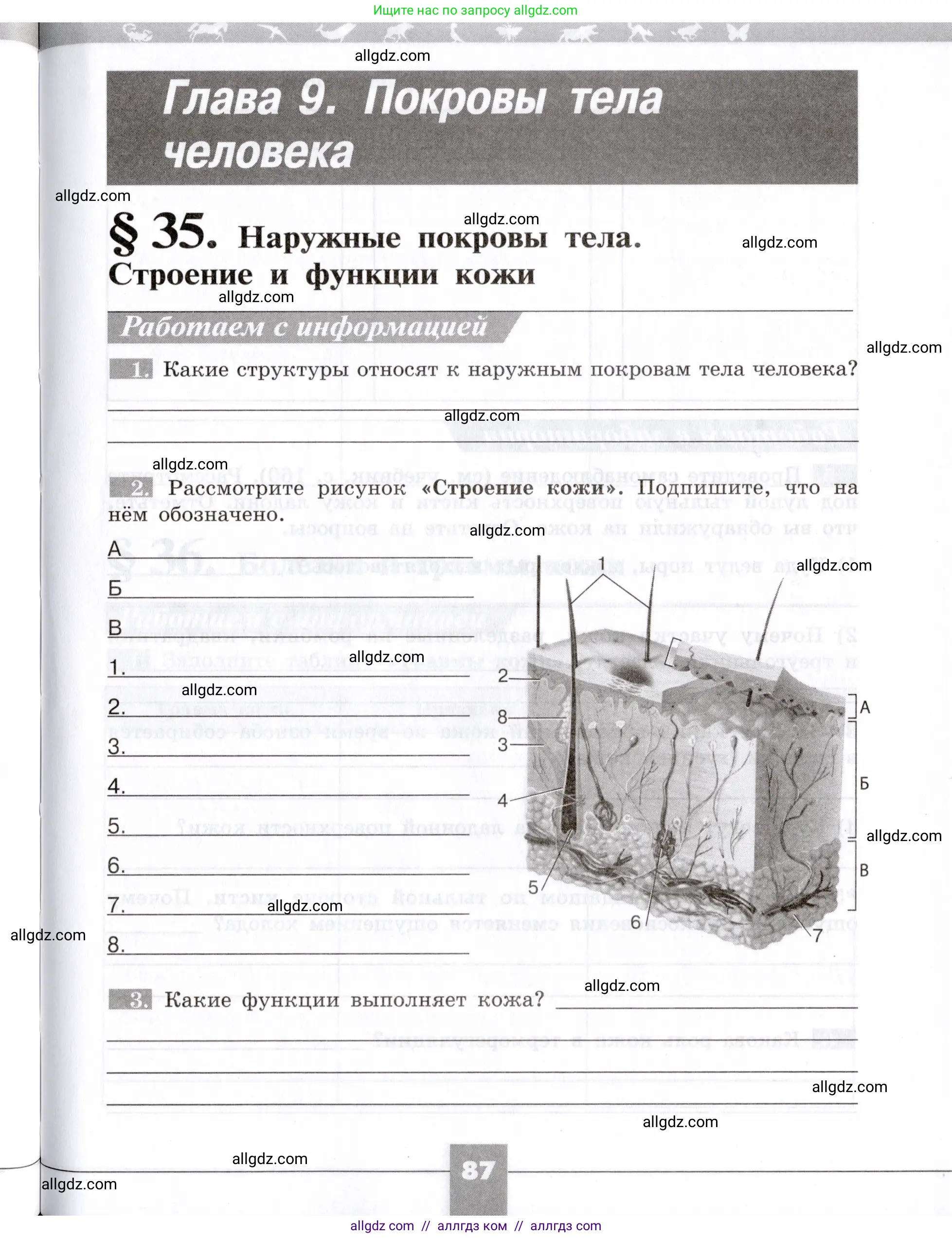 Биология, 8 класс рабочая тетрадь, авторы: Пасечник Владимир Васильевич, Швецов Глеб Геннадьевич, издательство Просвещение, Москва, 2019, страница 87