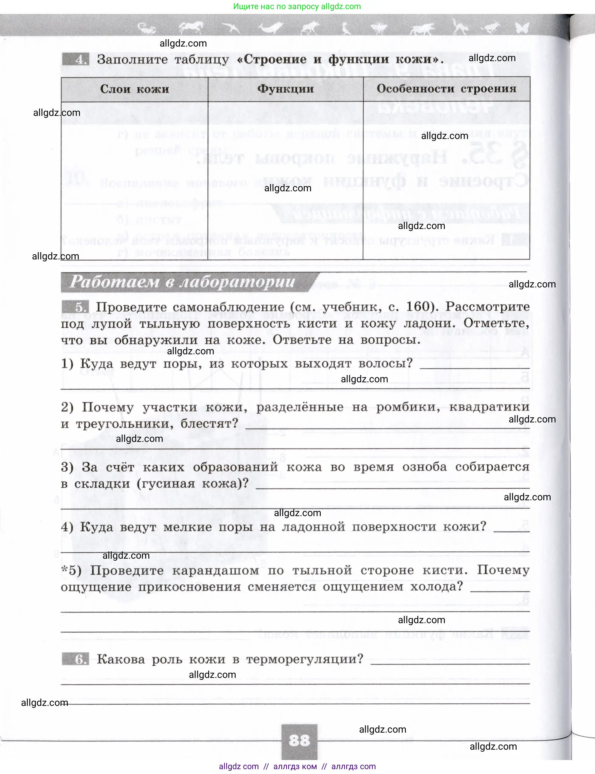 Биология, 8 класс рабочая тетрадь, авторы: Пасечник Владимир Васильевич, Швецов Глеб Геннадьевич, издательство Просвещение, Москва, 2019, страница 88