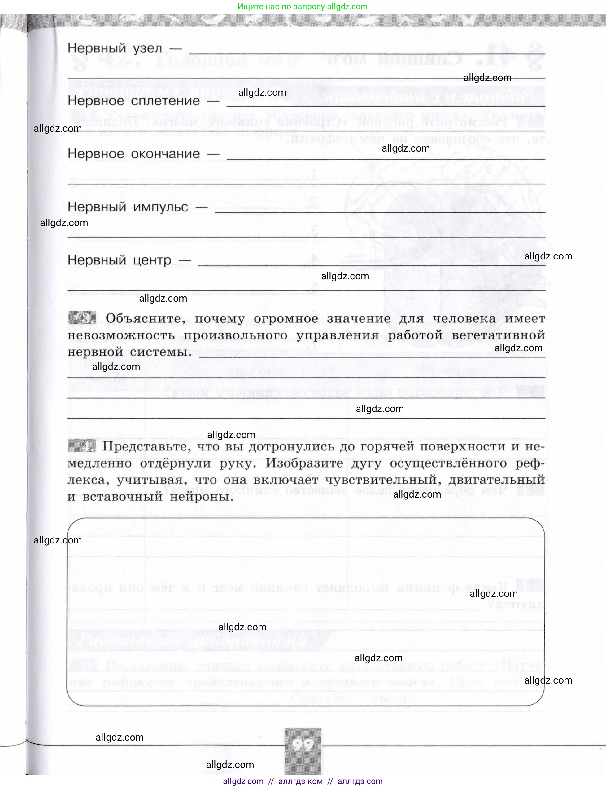 Биология, 8 класс рабочая тетрадь, авторы: Пасечник Владимир Васильевич, Швецов Глеб Геннадьевич, издательство Просвещение, Москва, 2019, страница 99