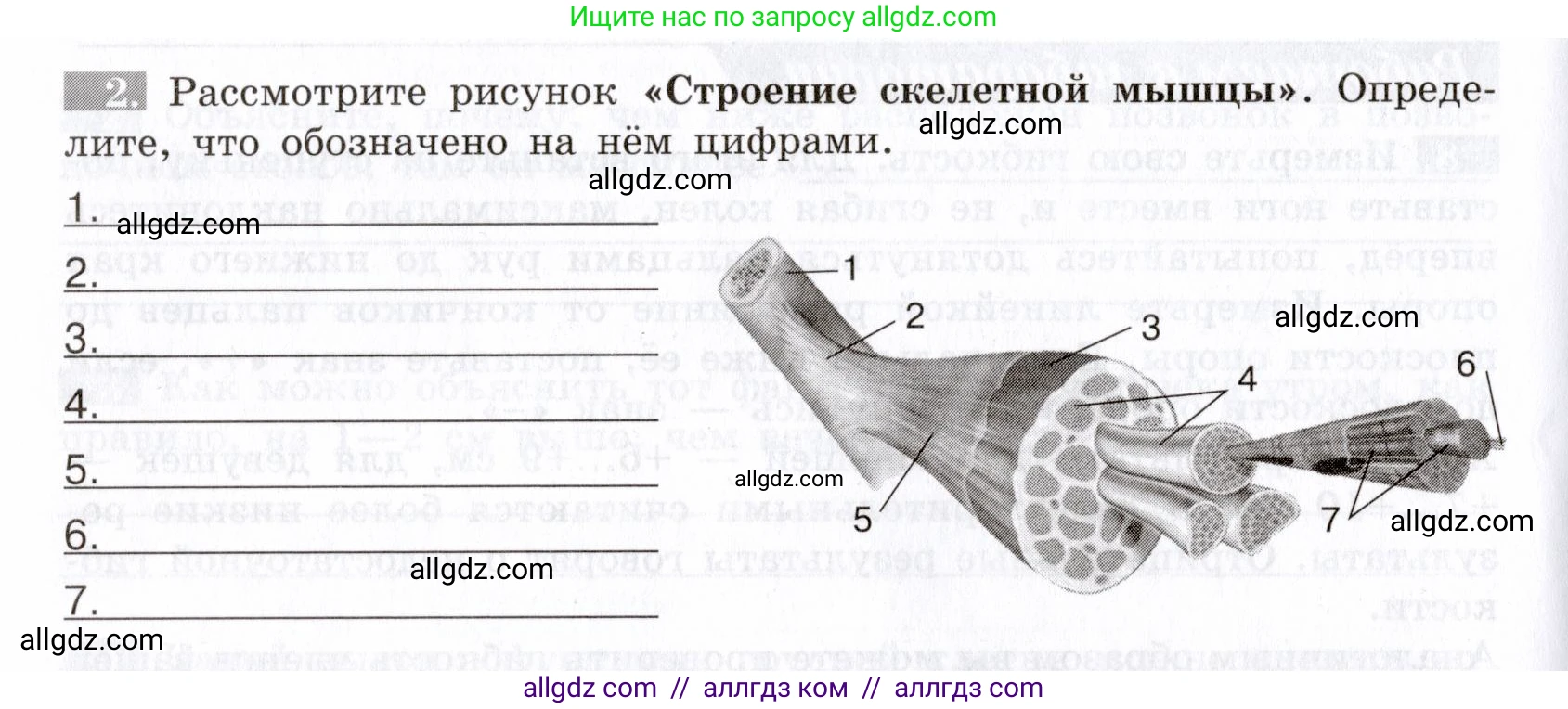 Биология, 8 класс рабочая тетрадь, авторы: Пасечник Владимир Васильевич, Швецов Глеб Геннадьевич, издательство Просвещение, Москва, 2019, страница 26, номер 2, Условие