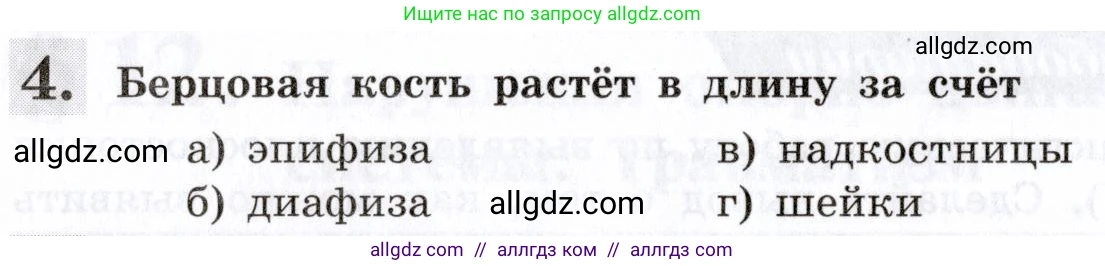 Биология, 8 класс рабочая тетрадь, авторы: Пасечник Владимир Васильевич, Швецов Глеб Геннадьевич, издательство Просвещение, Москва, 2019, страница 32, номер 4, Условие